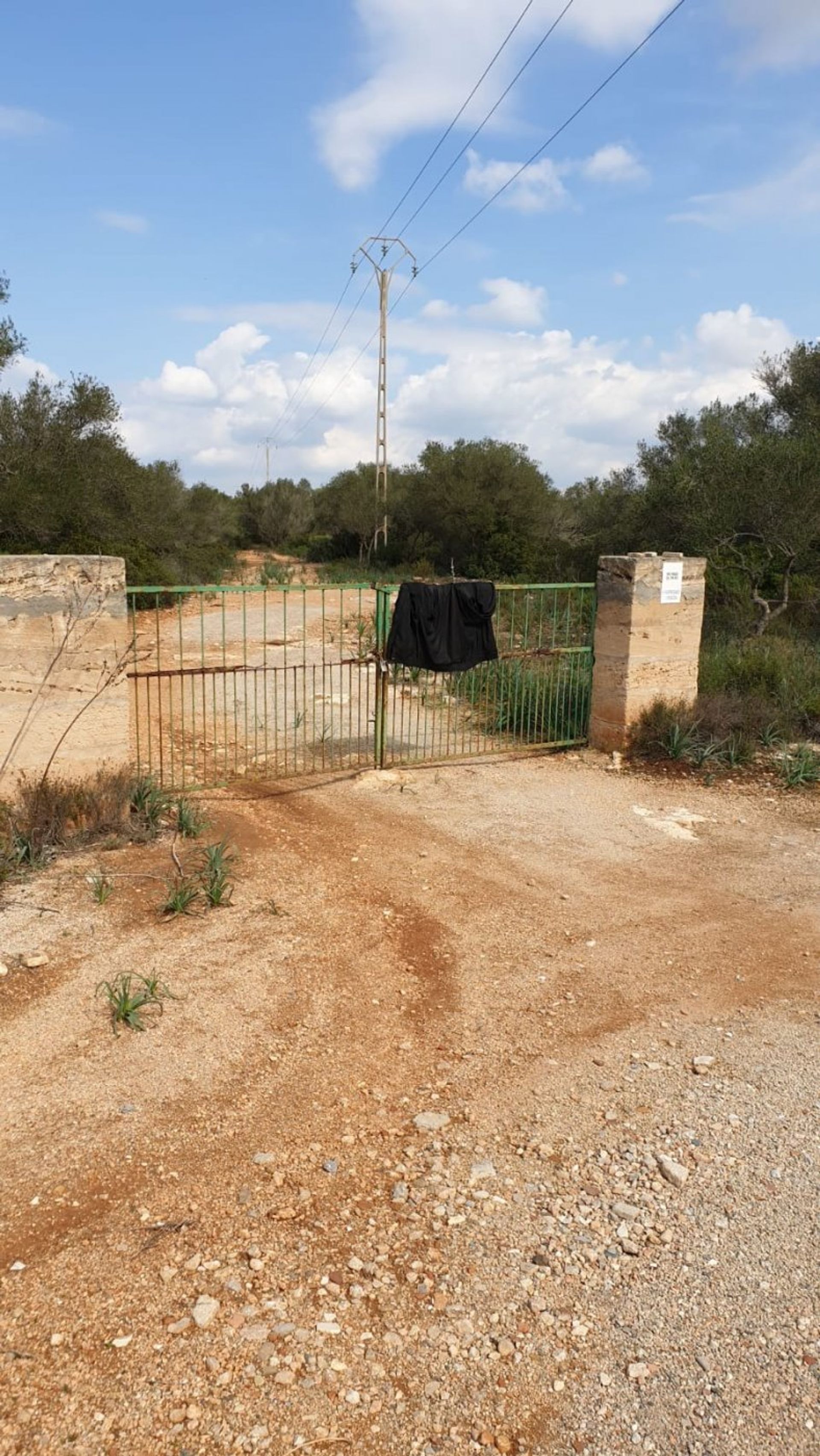 Land in Llucmajor, Illes Balears 11707285