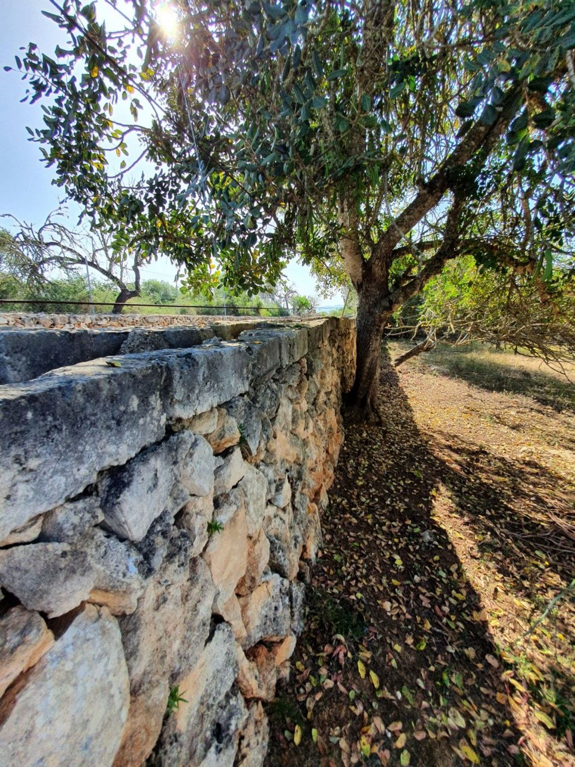 Tierra en Son Serra de Marina, Illes Balears 11707300