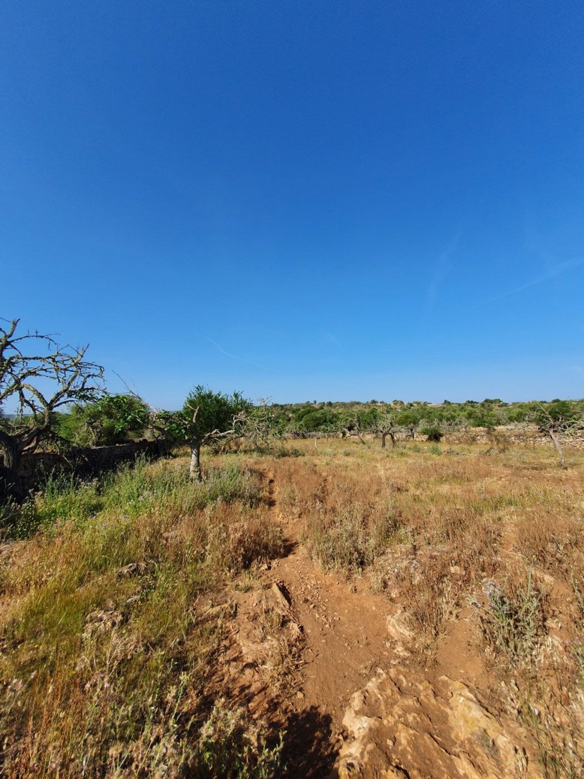 Γη σε Son Serra de Marina, Illes Balears 11707300