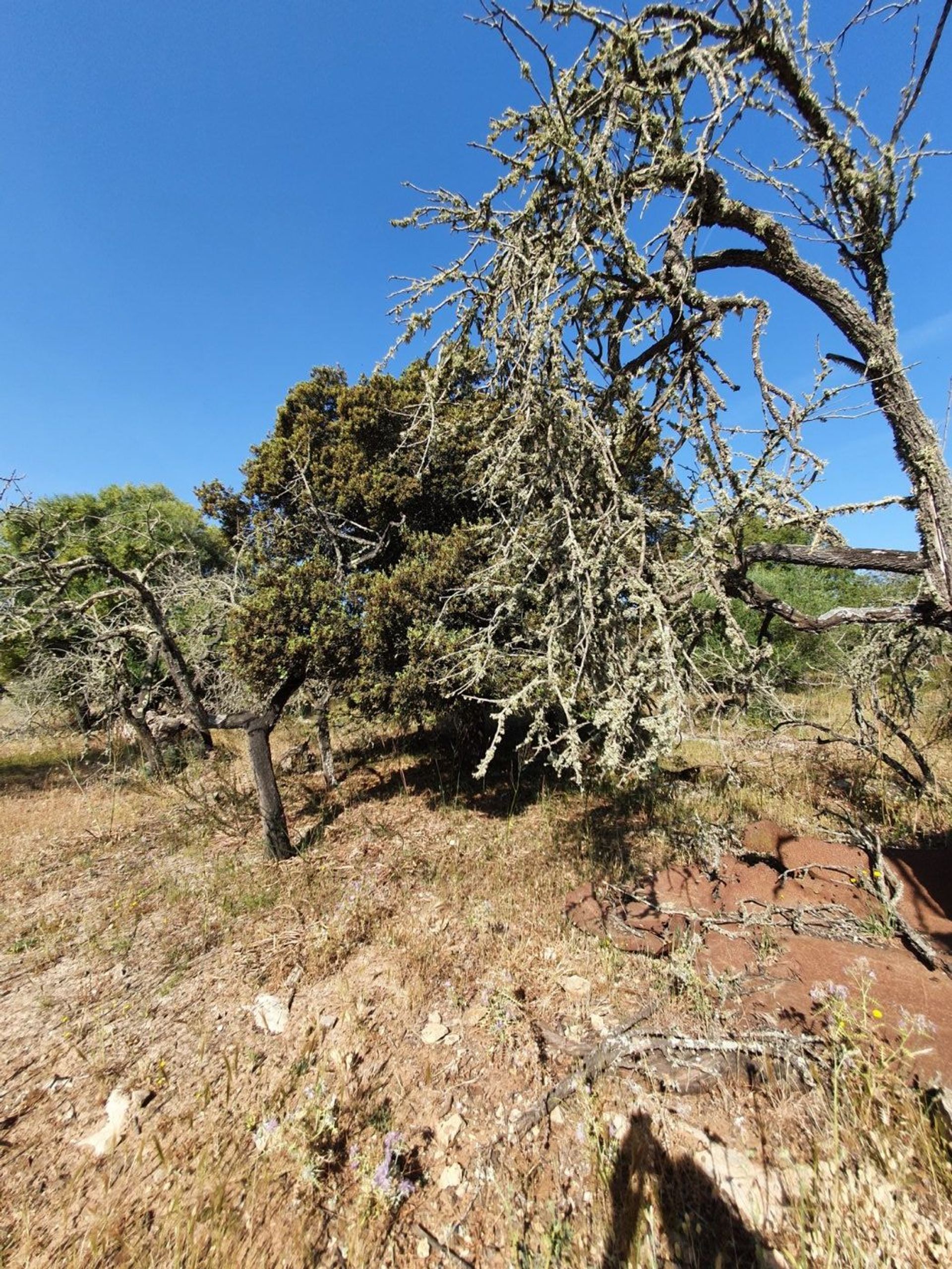 Tierra en Son Serra de Marina, Illes Balears 11707300