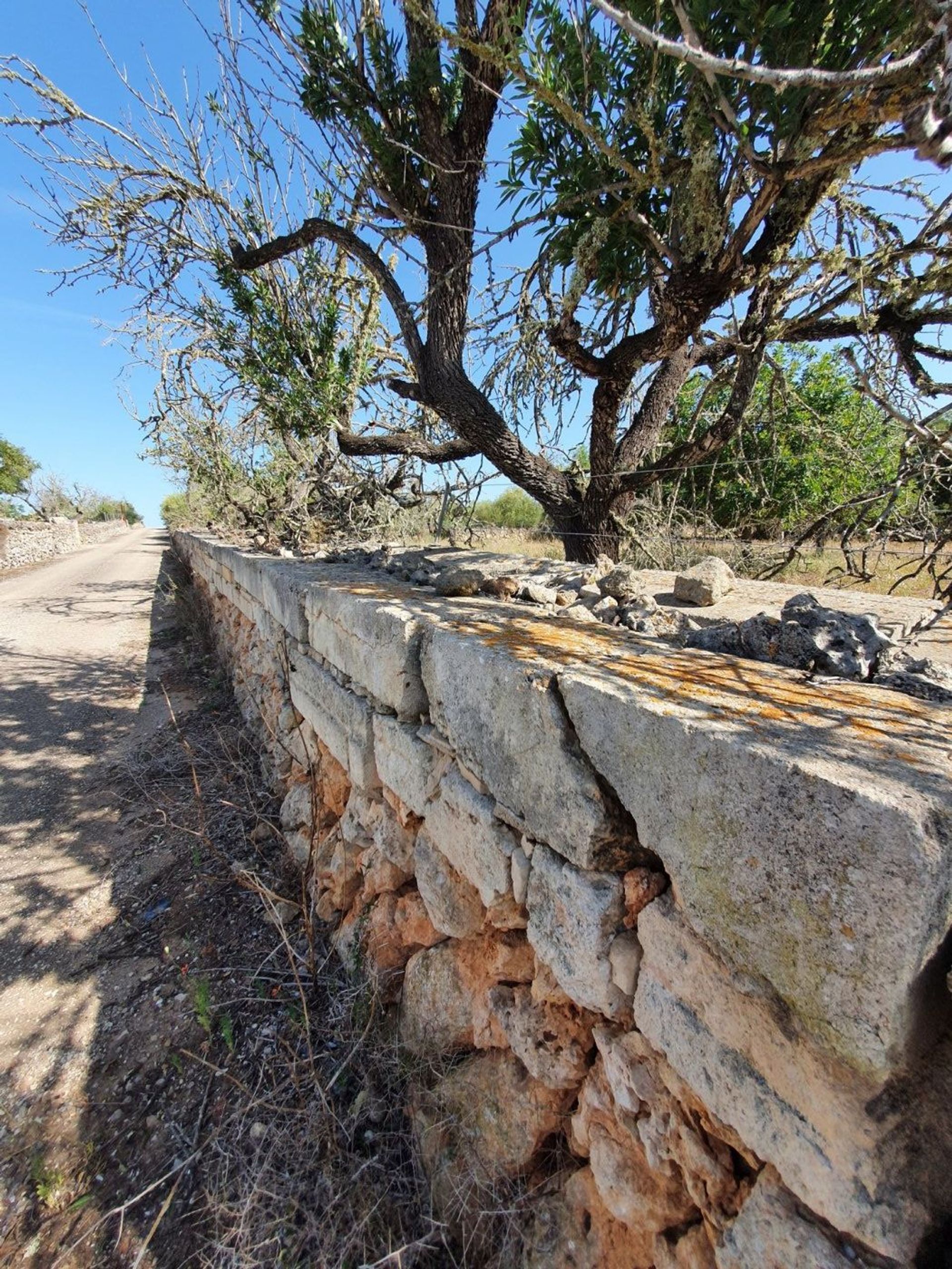 Tierra en Son Serra de Marina, Illes Balears 11707300