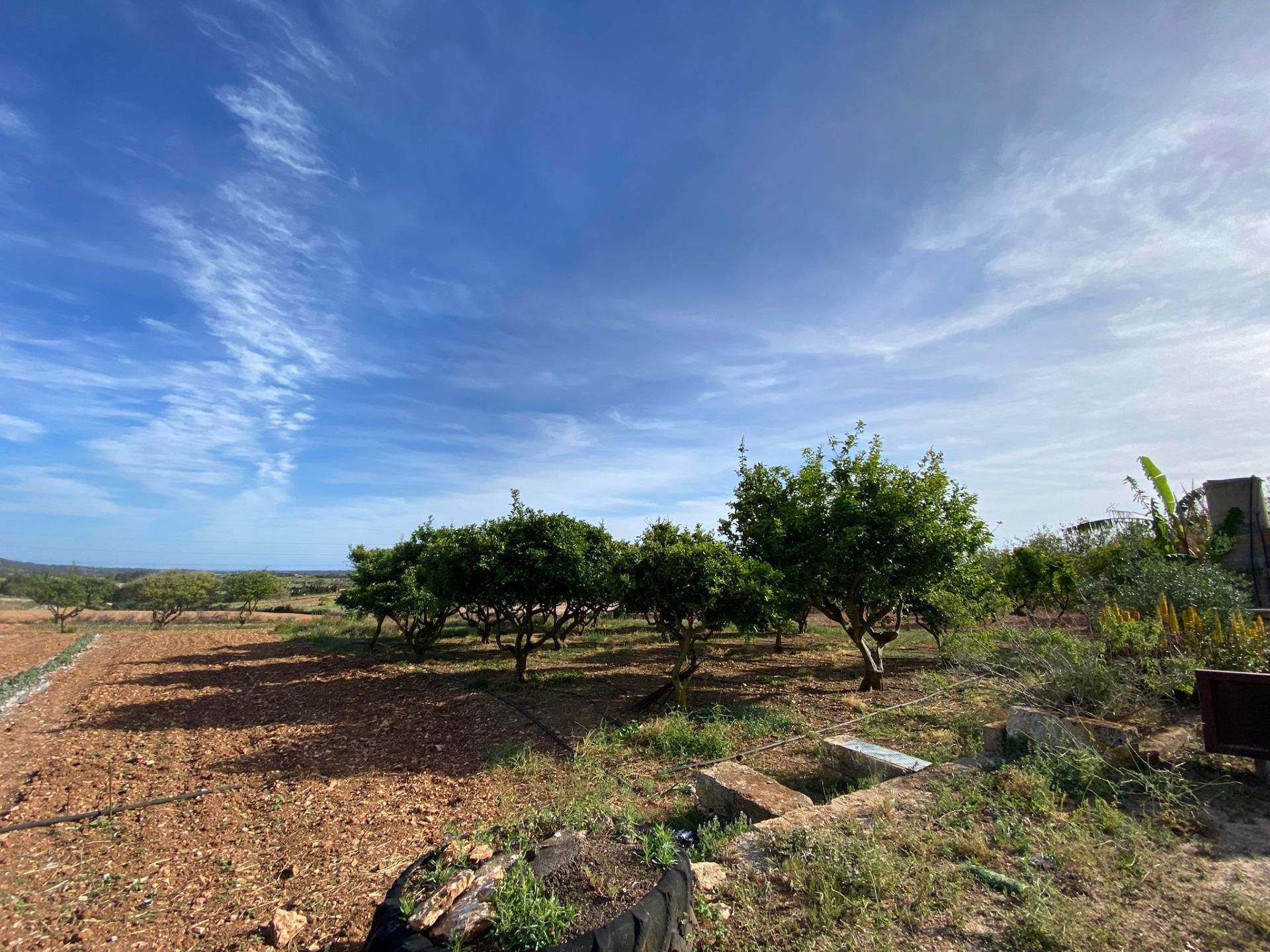 σπίτι σε Manacor, Βαλεαρίδες Νήσοι 11707382