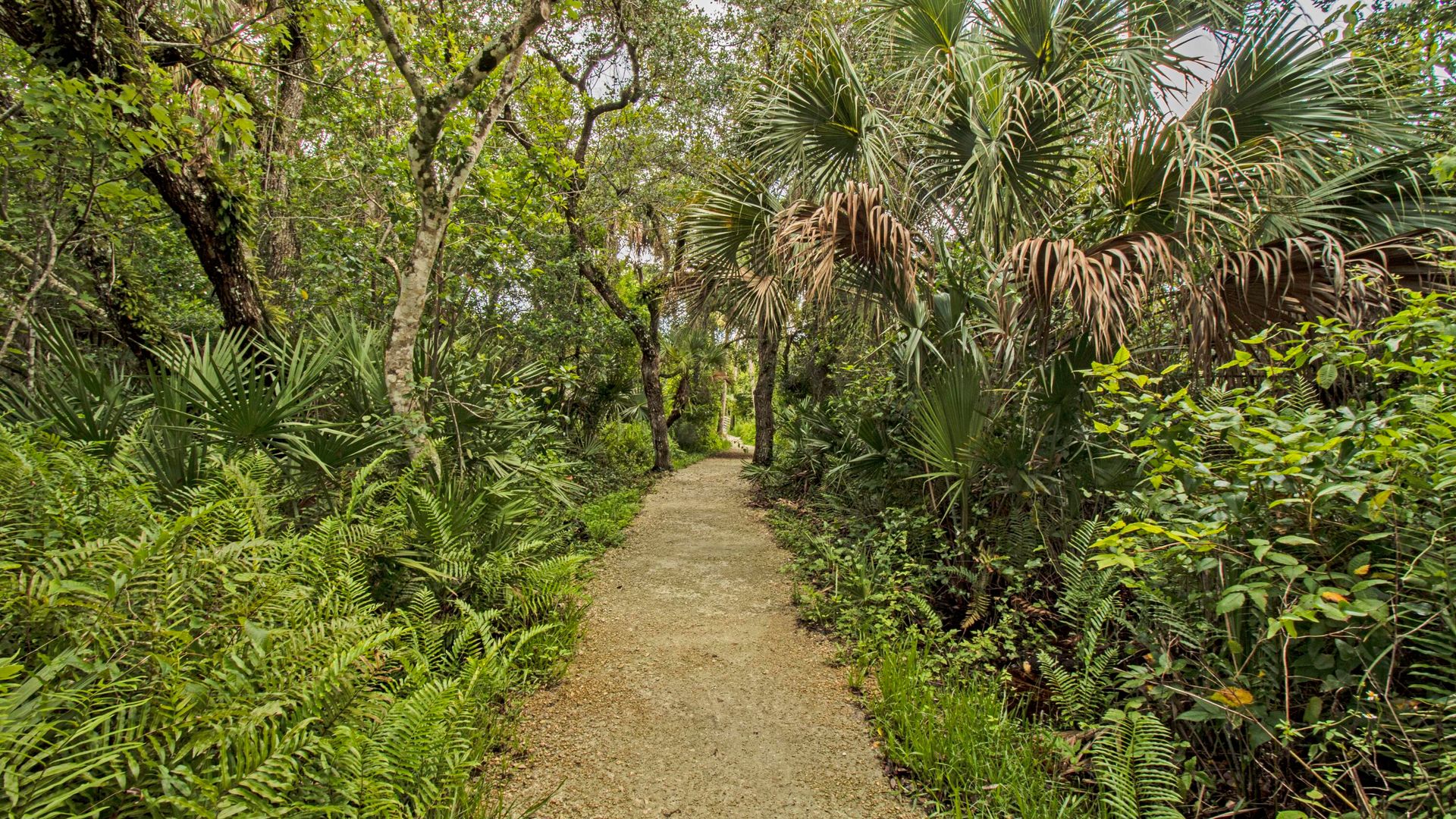 Hus i Hobe Sound, Florida 11707485