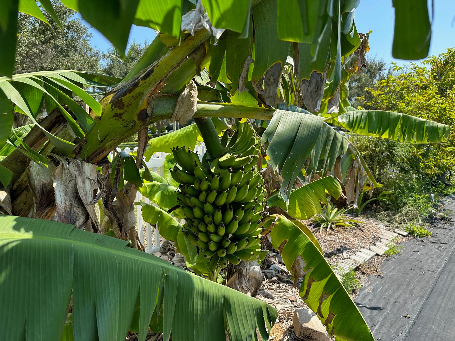 Talo sisään Jupiter, Florida 11707492