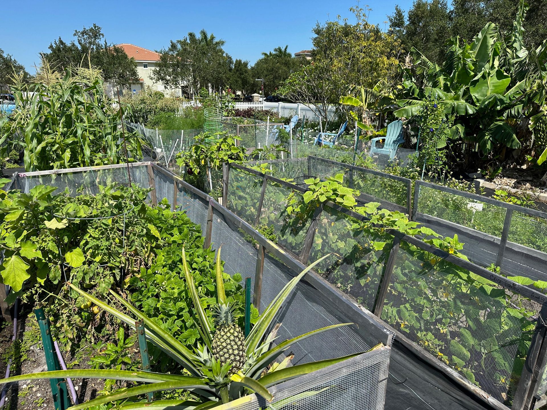 Talo sisään Jupiter, Florida 11707492