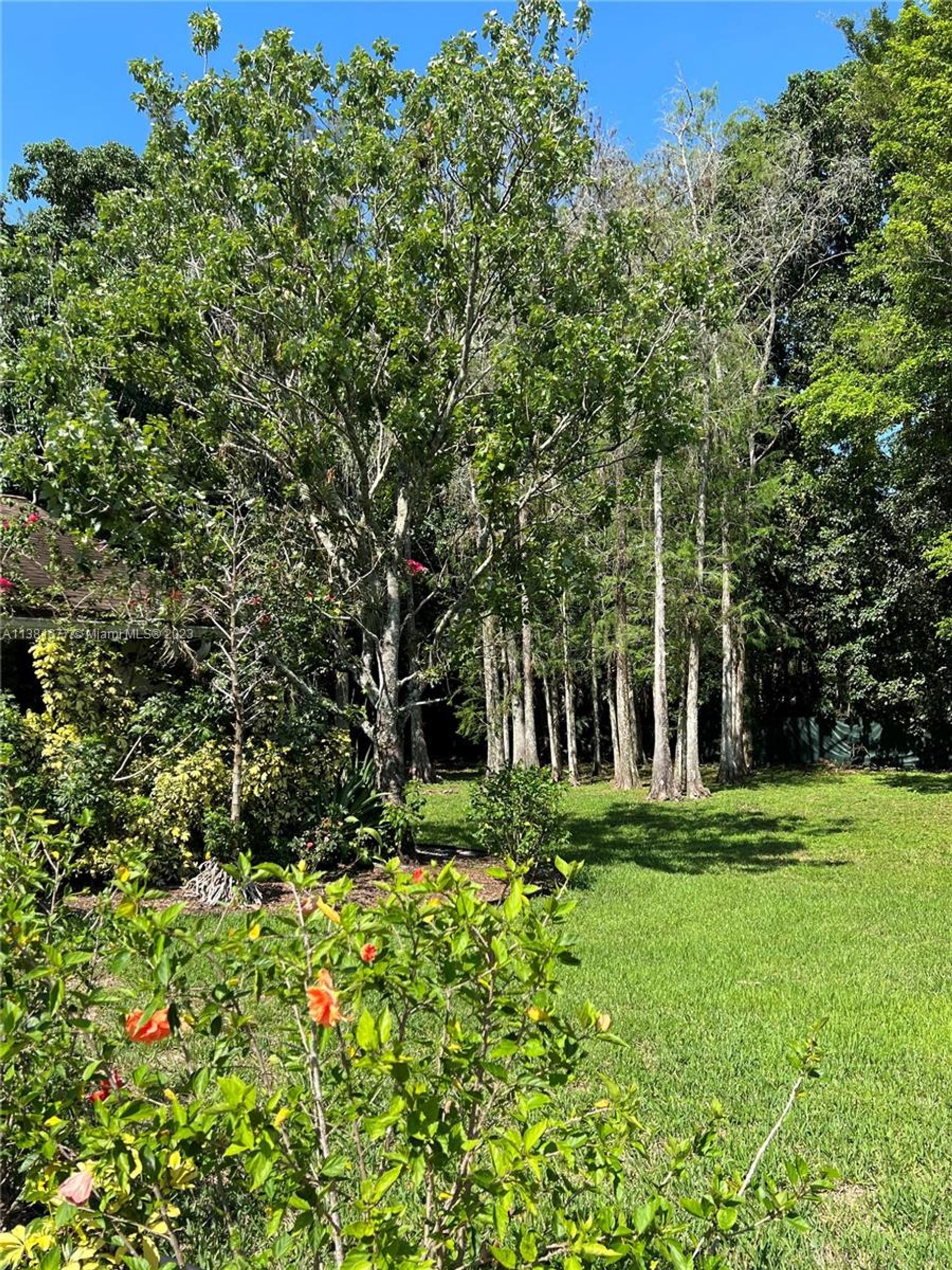 Casa nel Parkland, Florida 11707498