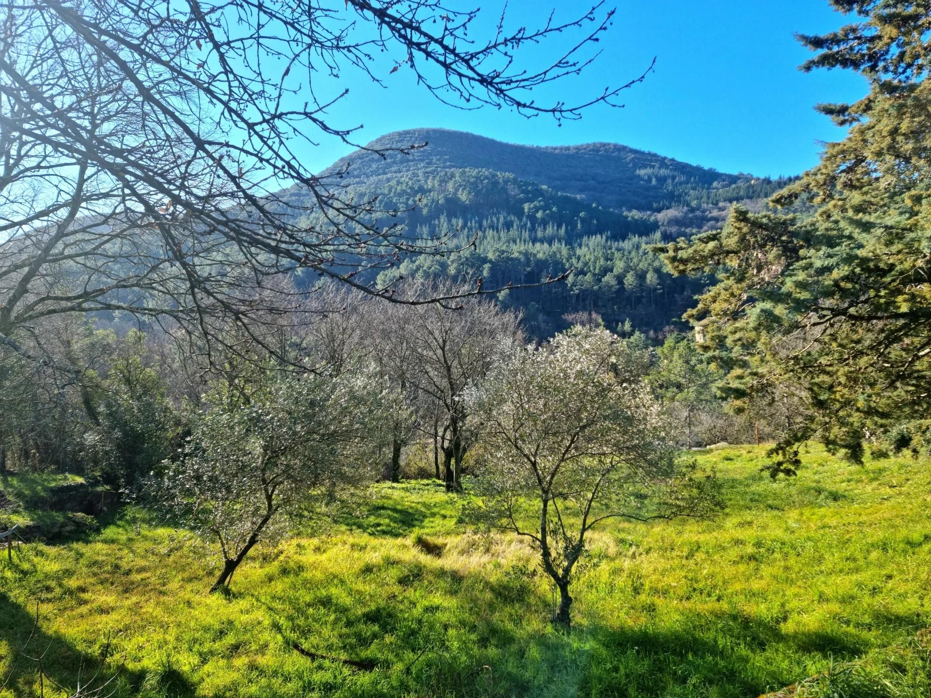 Κατοικητικός σε Alès, Gard 11710303