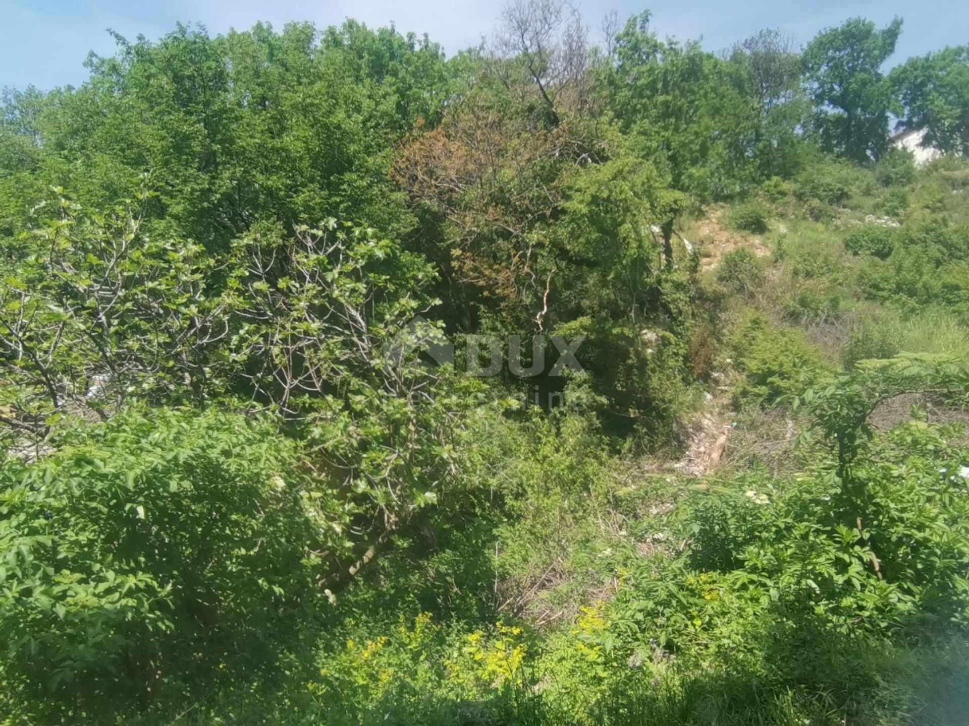 土地 在 克拉列维察, 滨海边疆区-山区祖帕尼娅 11710704