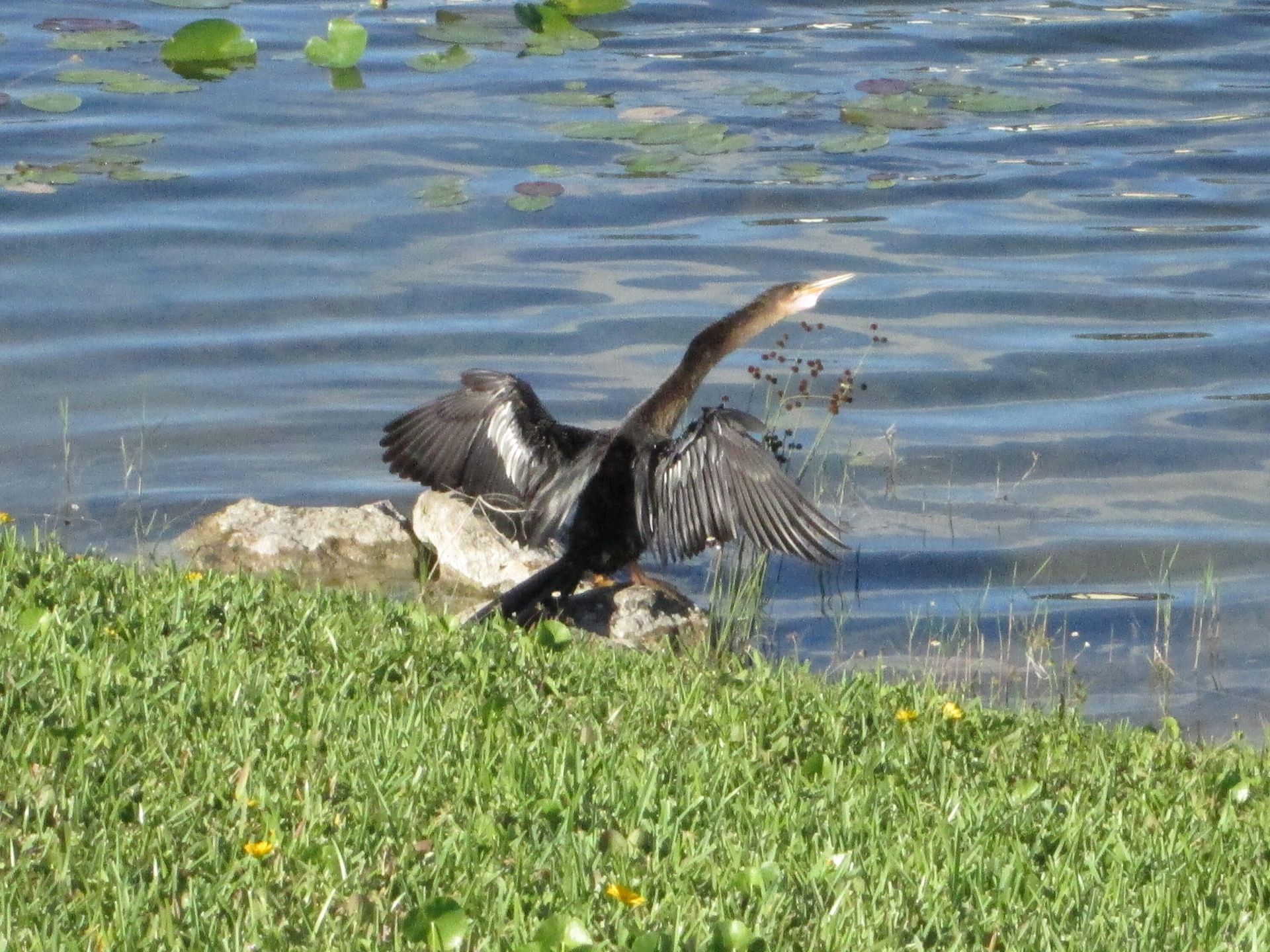 房子 在 West Palm Beach, Florida 11710834