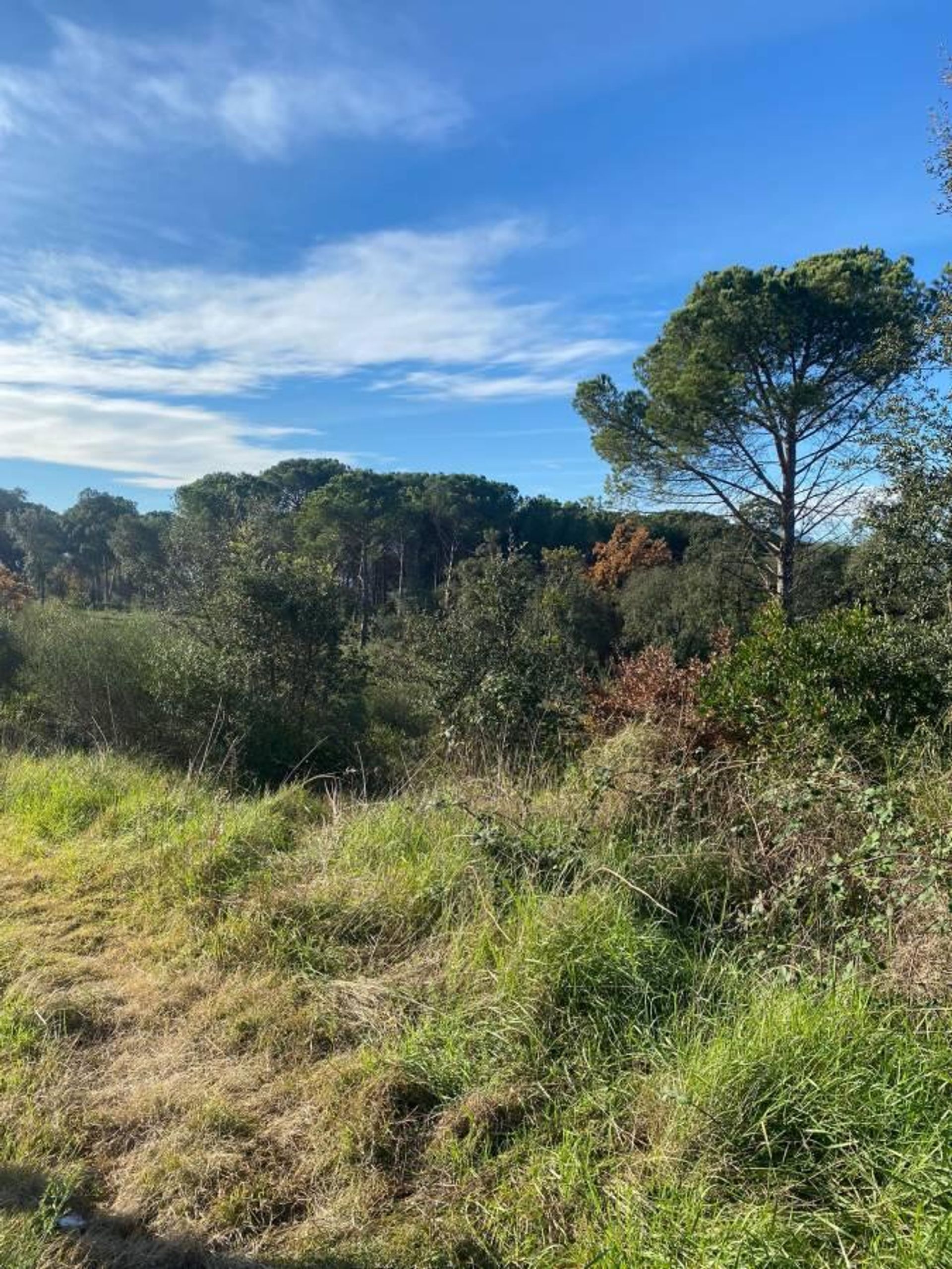 Tierra en Santa Coloma de Farnés, Cataluña 11711570