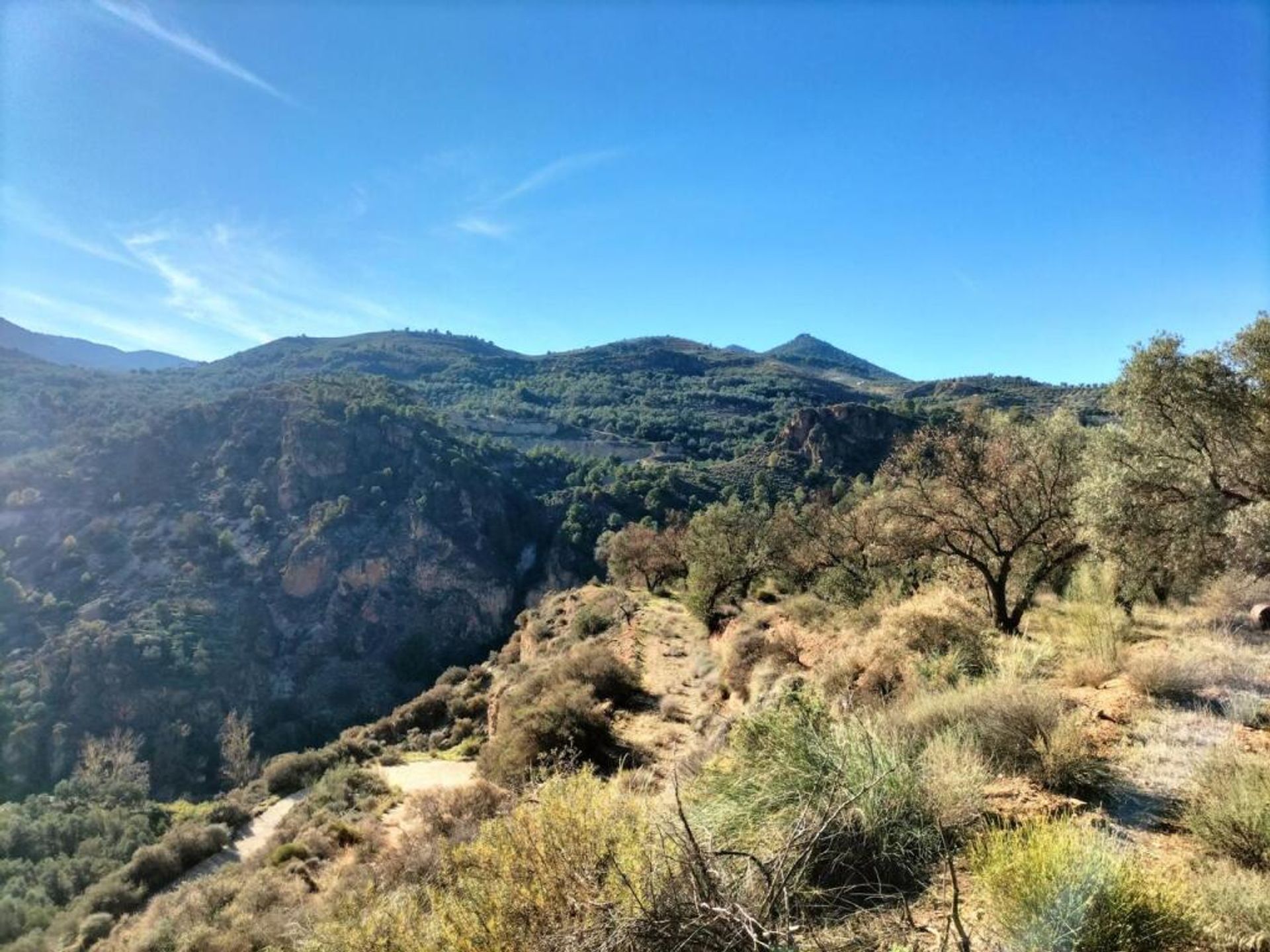 Terre dans Lecrín, Andalucía 11713021