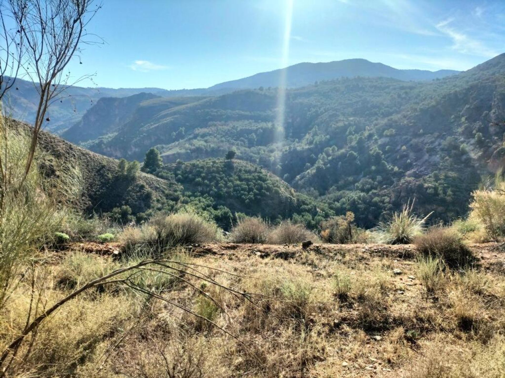 Terre dans Lecrín, Andalucía 11713021