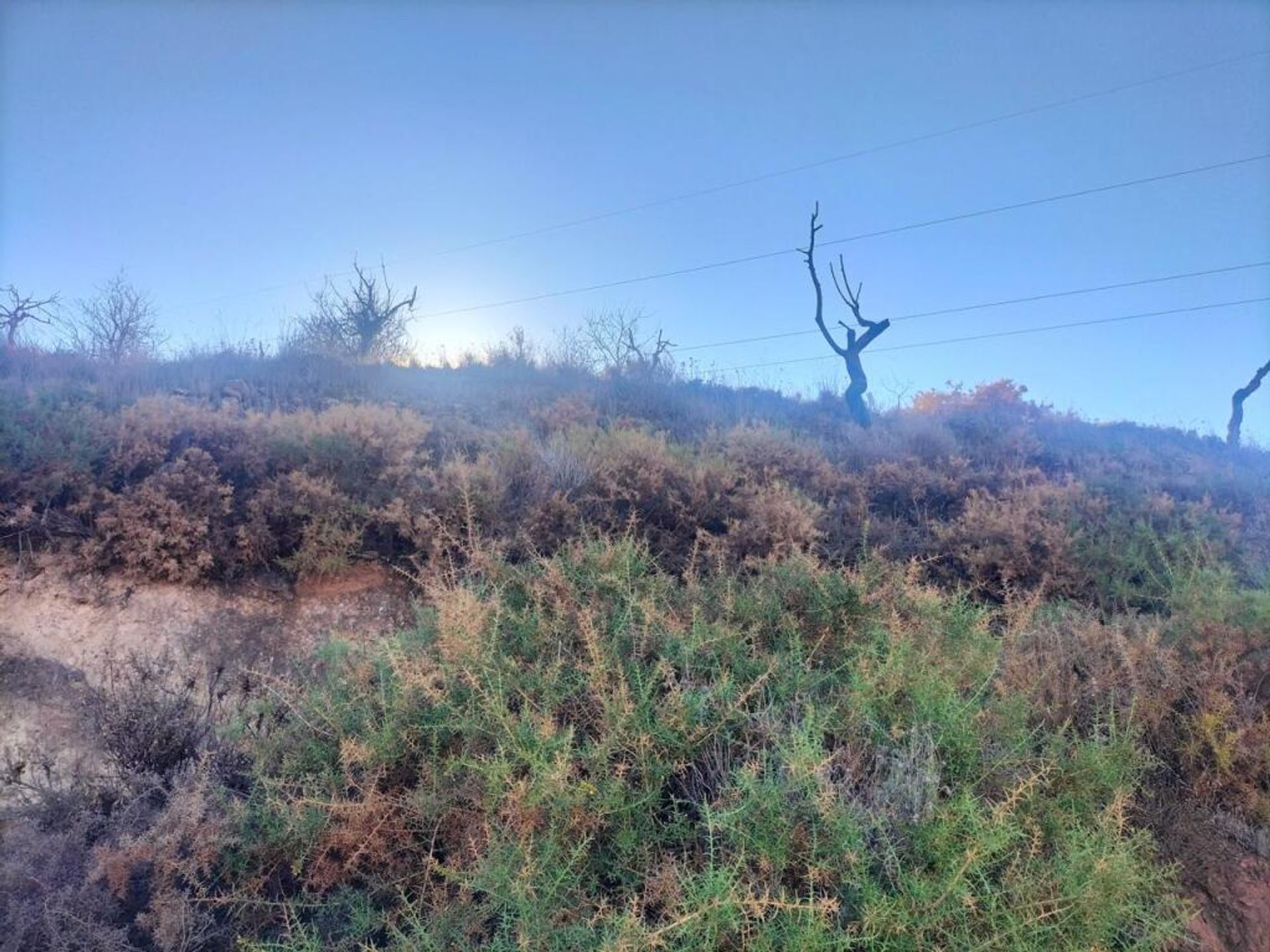 Terre dans Lecrín, Andalucía 11713021