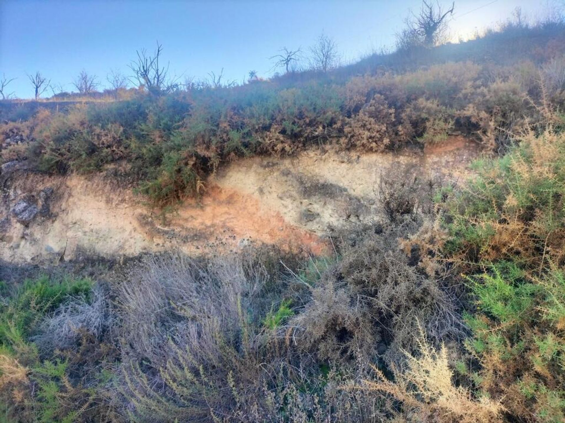 Terre dans Lecrín, Andalucía 11713021