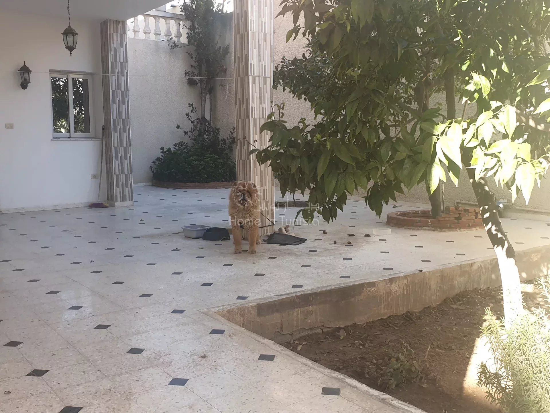 casa no Kalaa Srira, Sousse 11713229