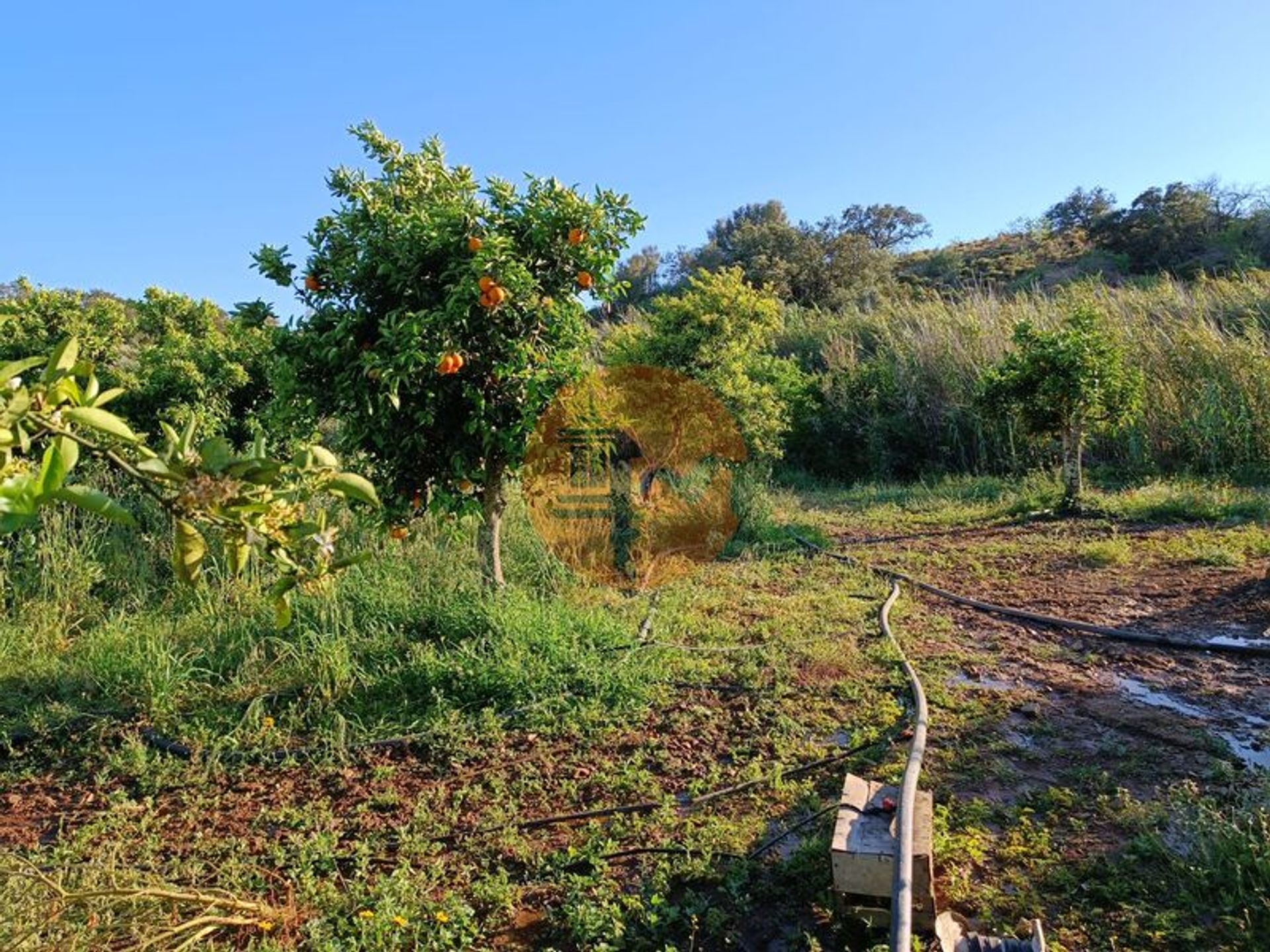 Land in Castro Marim, Faro 11713359