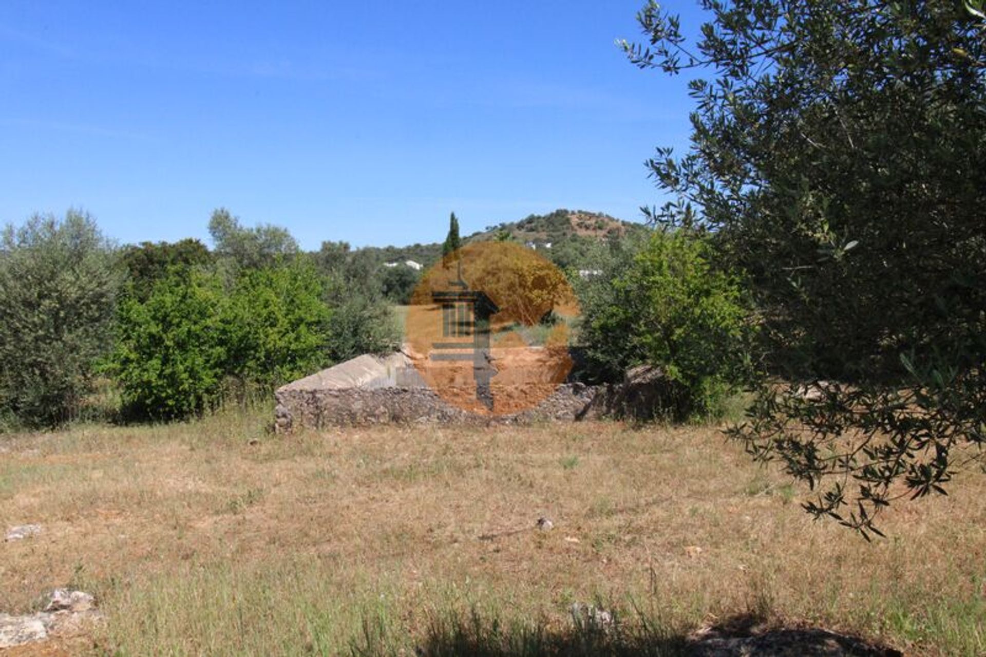 Land in Estoi, Faro 11713360