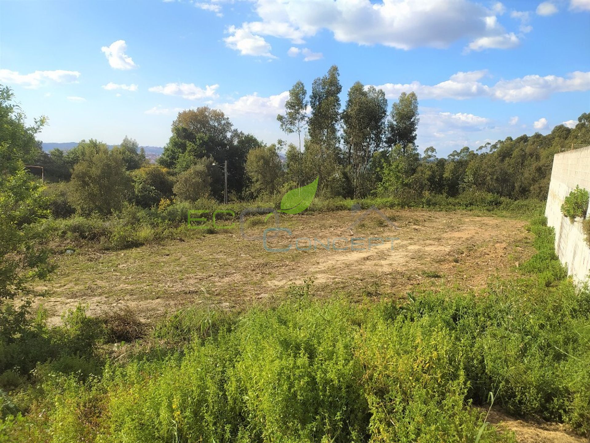 Kommerziell im Oliveira de Azeméis, Aveiro District 11713896