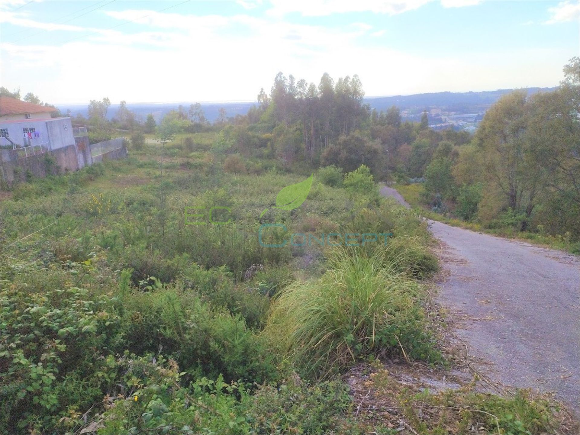 Comercial no Oliveira de Azeméis, Aveiro District 11713900