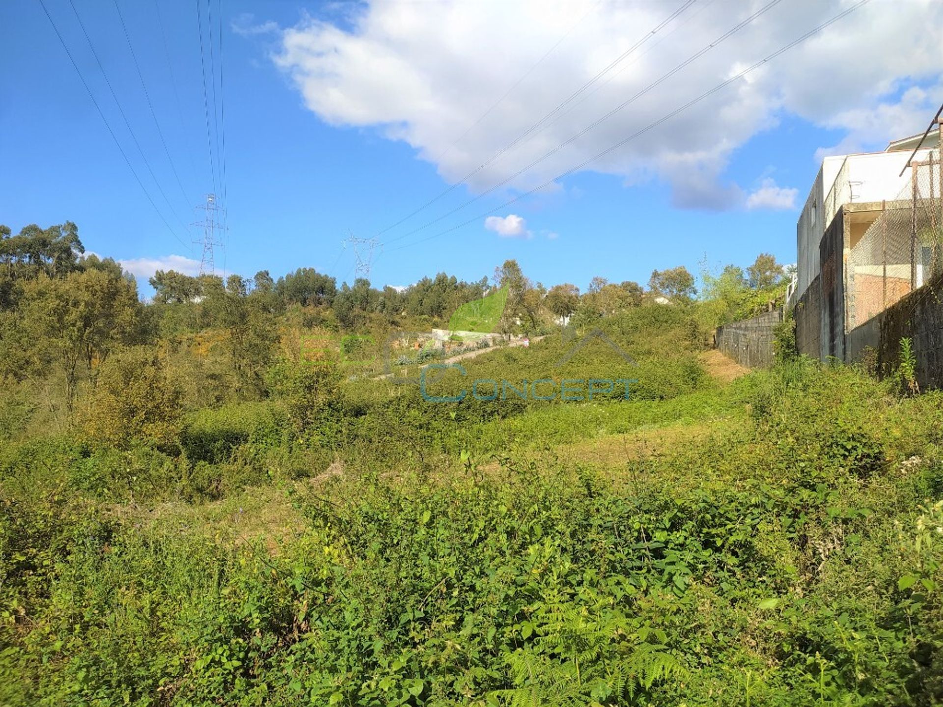 Tanah di Oliveira de Azeméis, Aveiro District 11713900