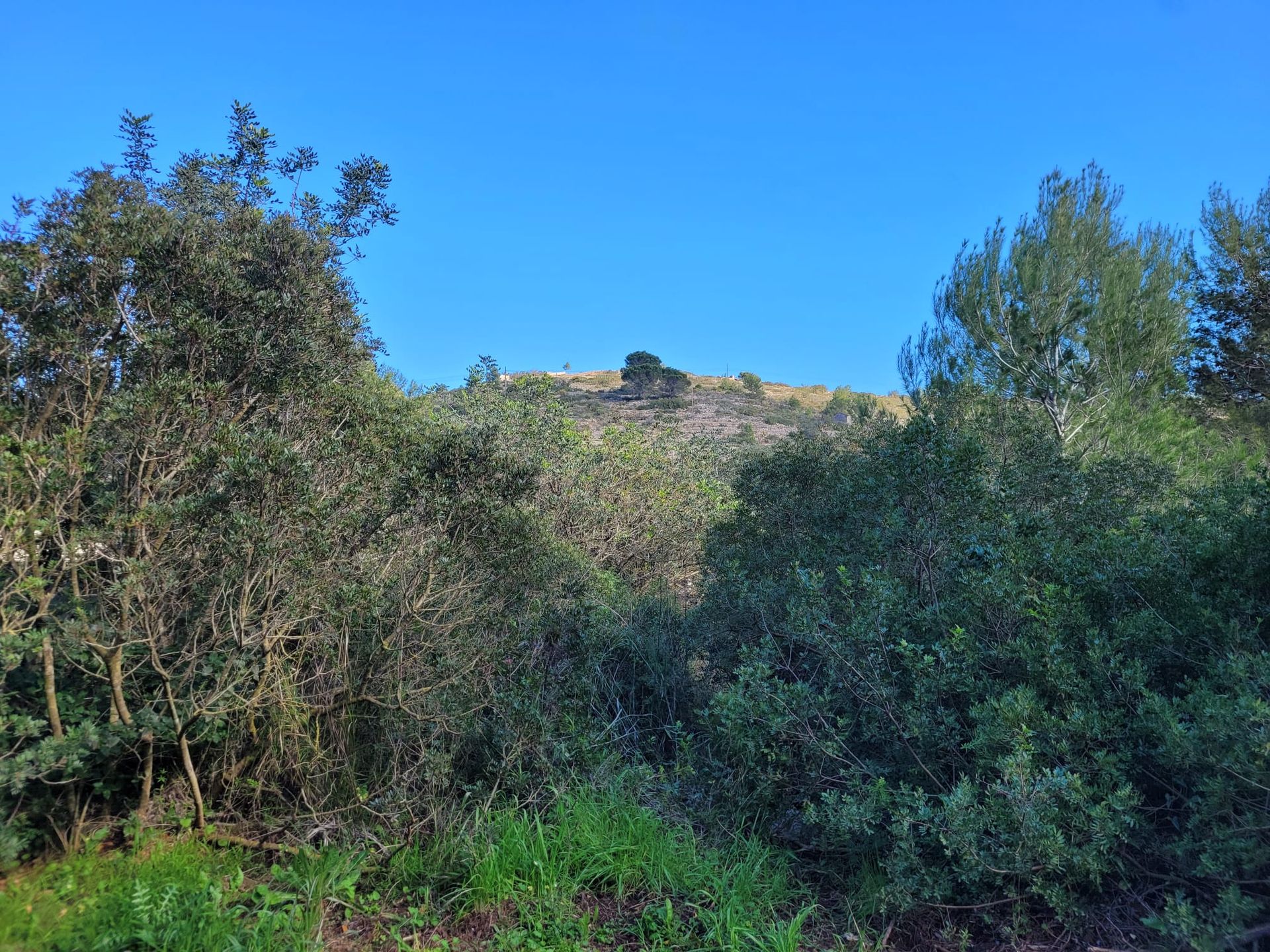 Land in Dénia, Valencian Community 11714087