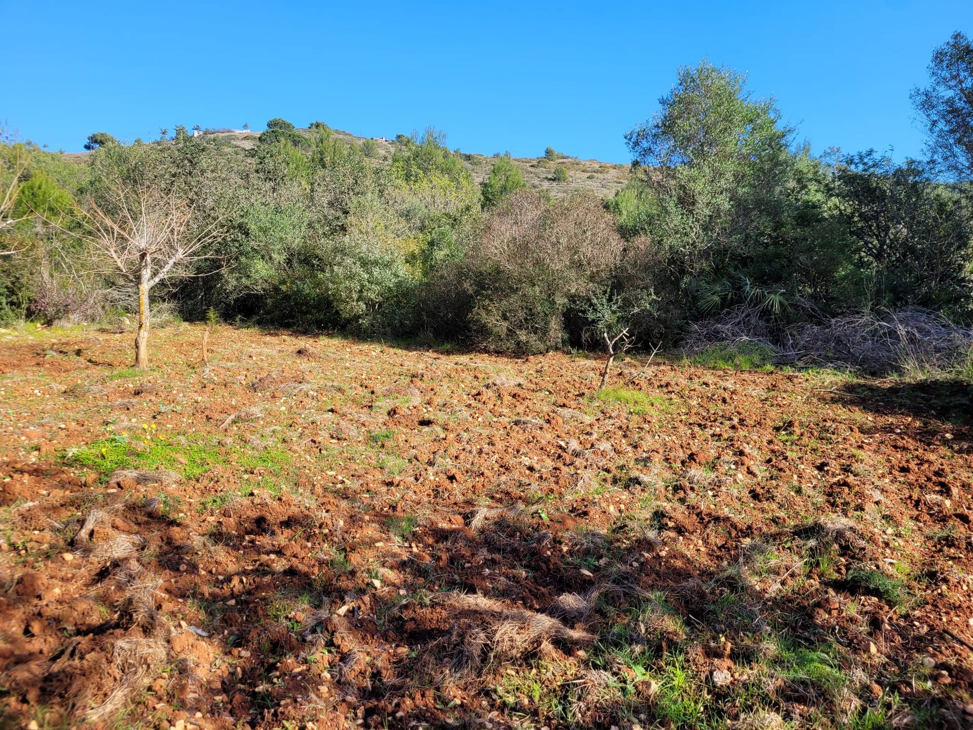 Land im Dénia, Valencian Community 11714087