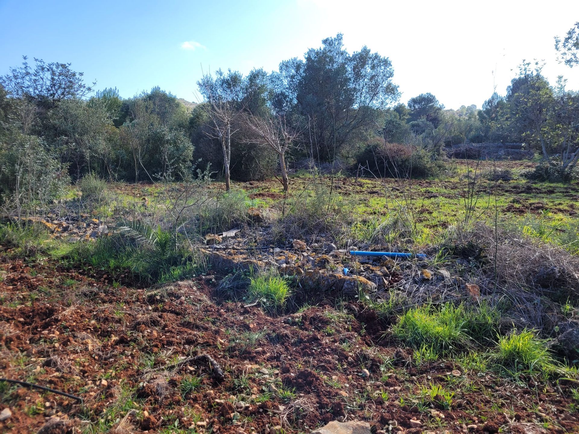 Land in Dénia, Valencian Community 11714087