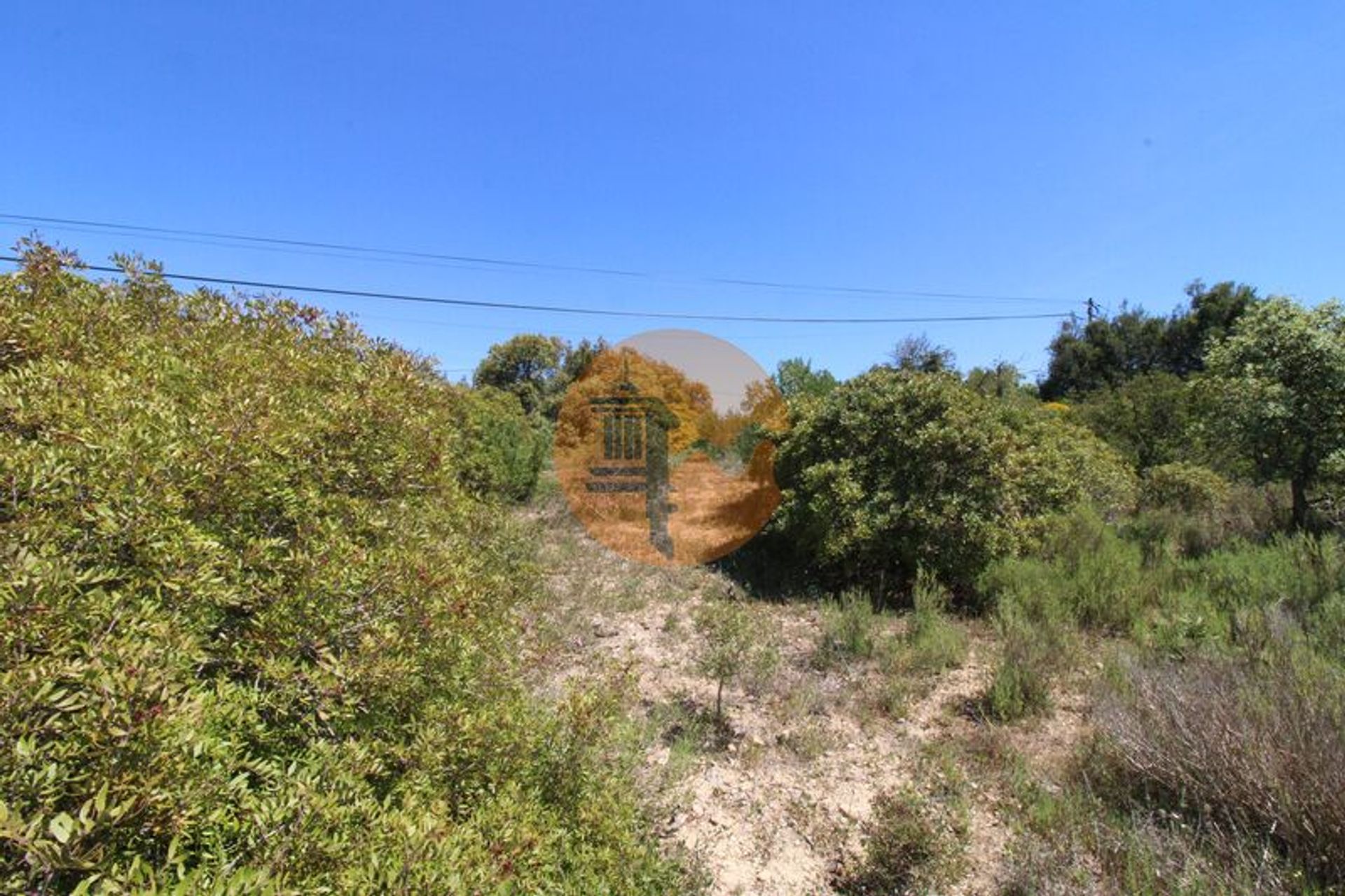 ארץ ב , Faro District 11715302