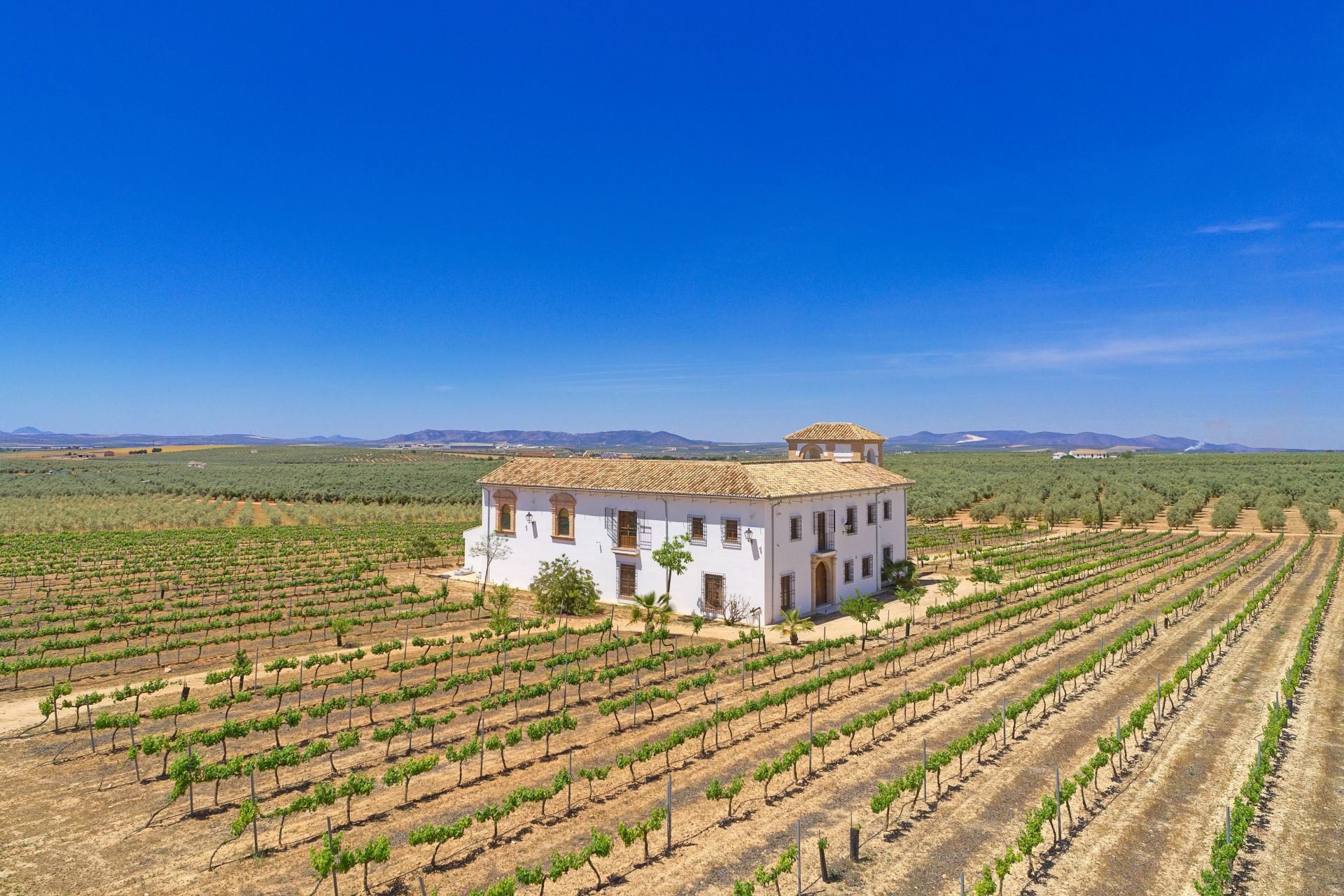 loger dans Mollina, Andalucía 11715313