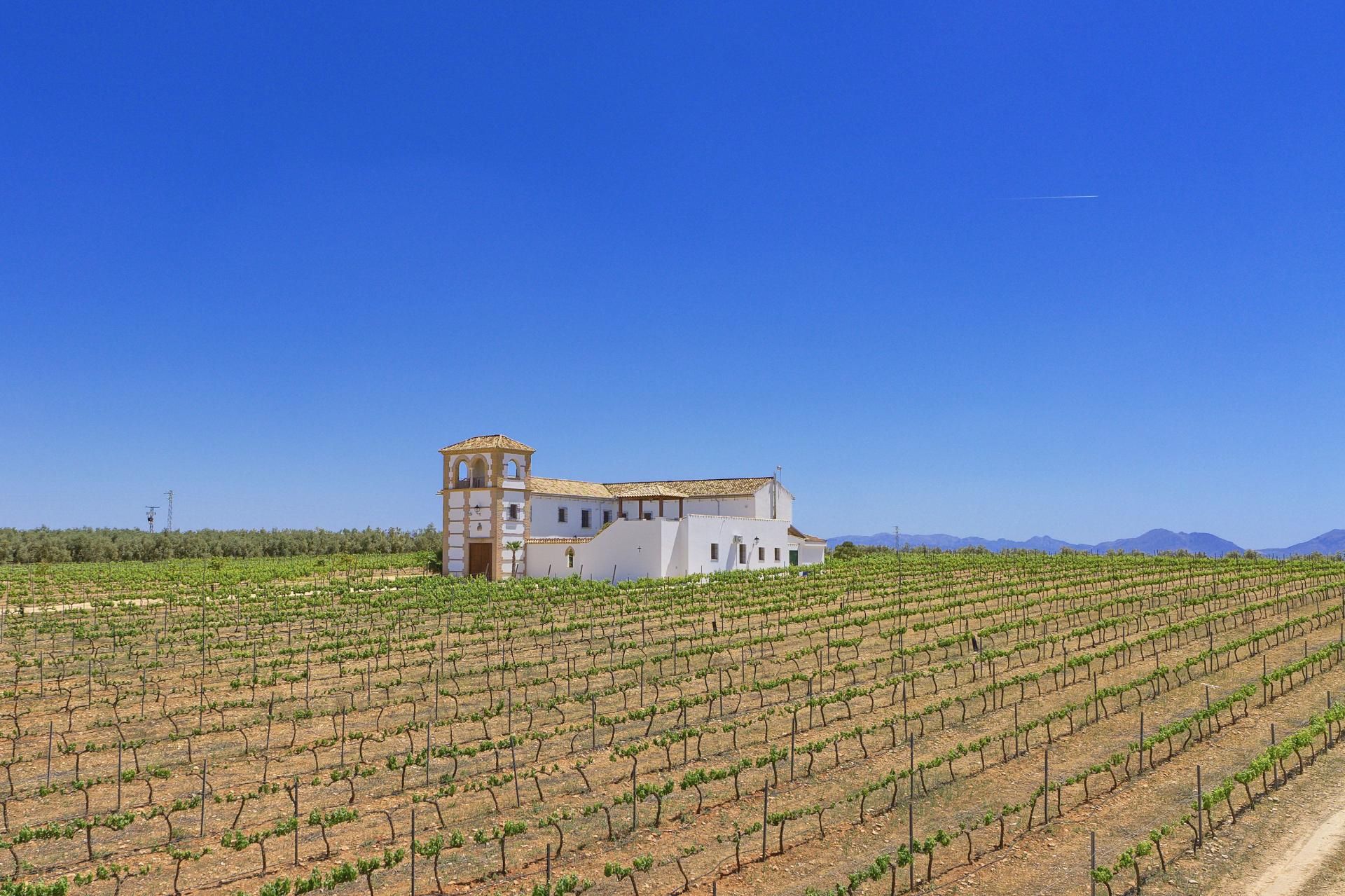 House in Mollina, Andalucía 11715313