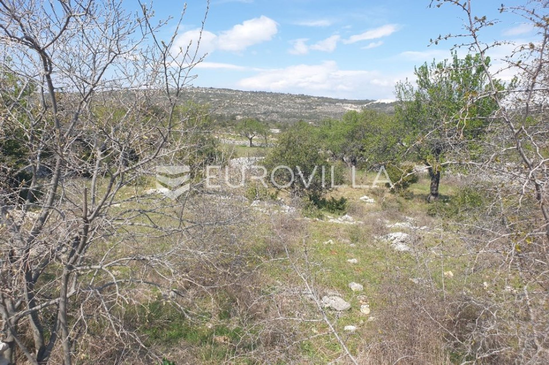 Land in Ložišće, Splitsko-Dalmatinska Zupanija 11717215