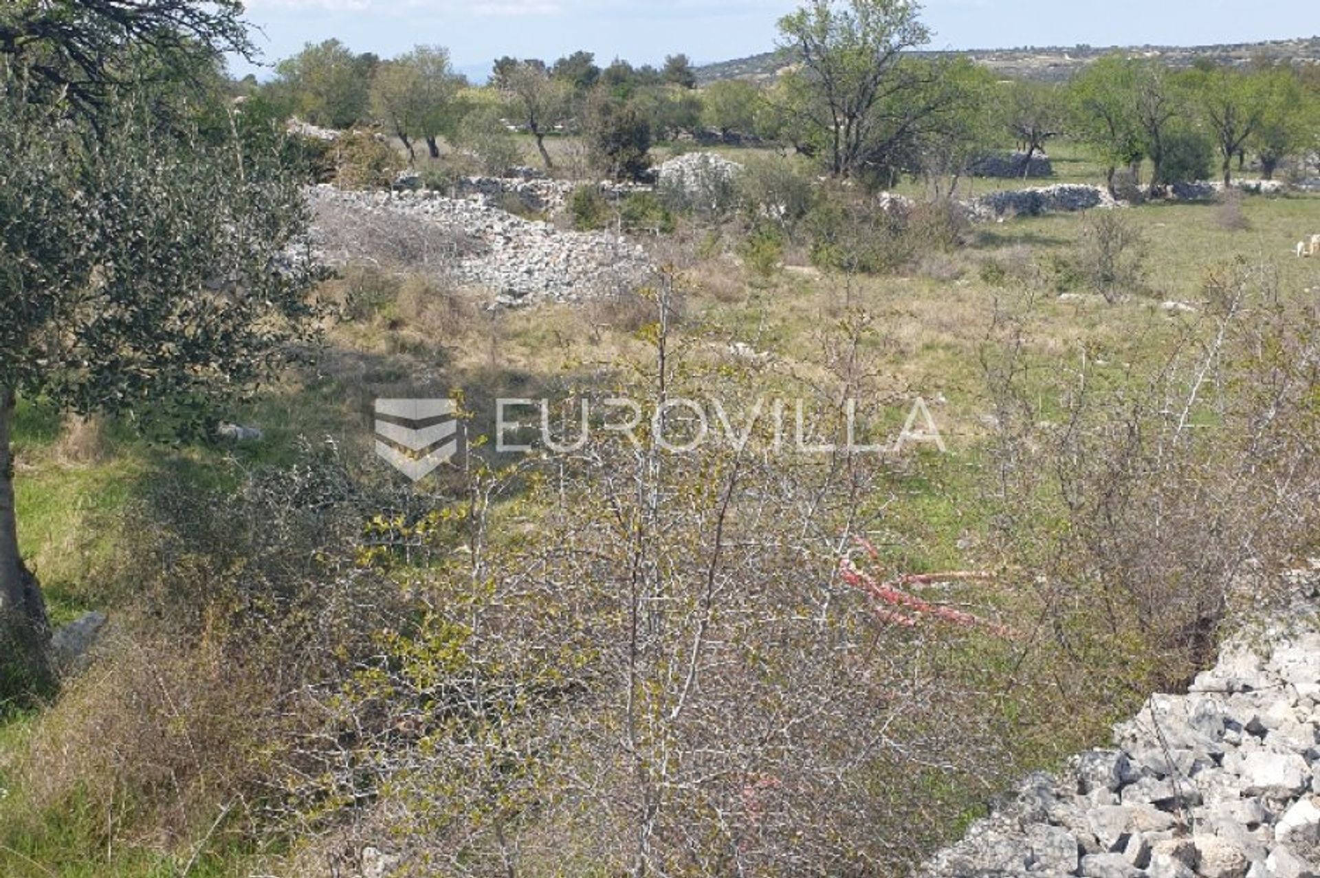 Land in Ložišće, Splitsko-Dalmatinska Zupanija 11717215