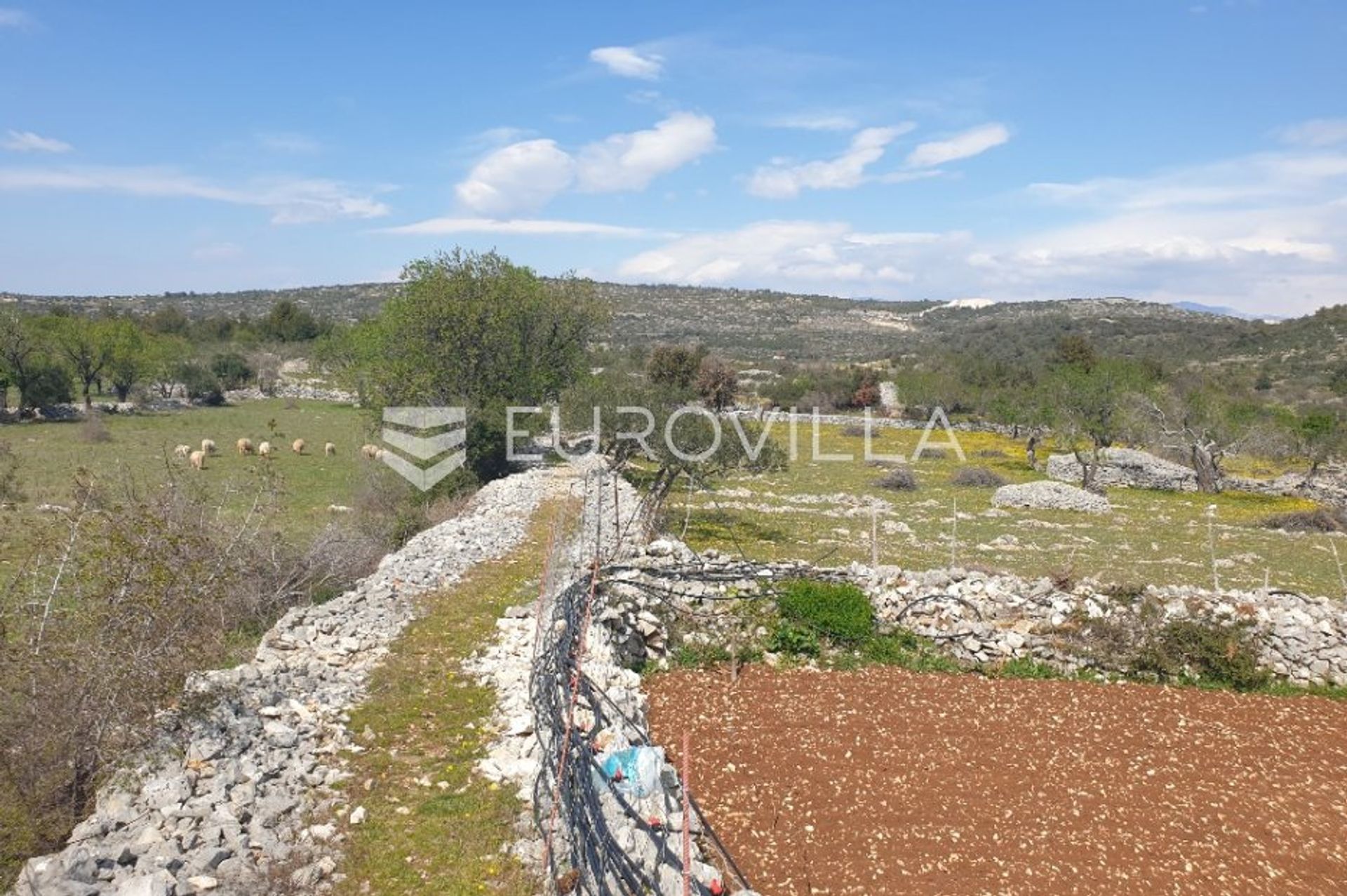 Land in Ložišće, Splitsko-Dalmatinska Zupanija 11717215