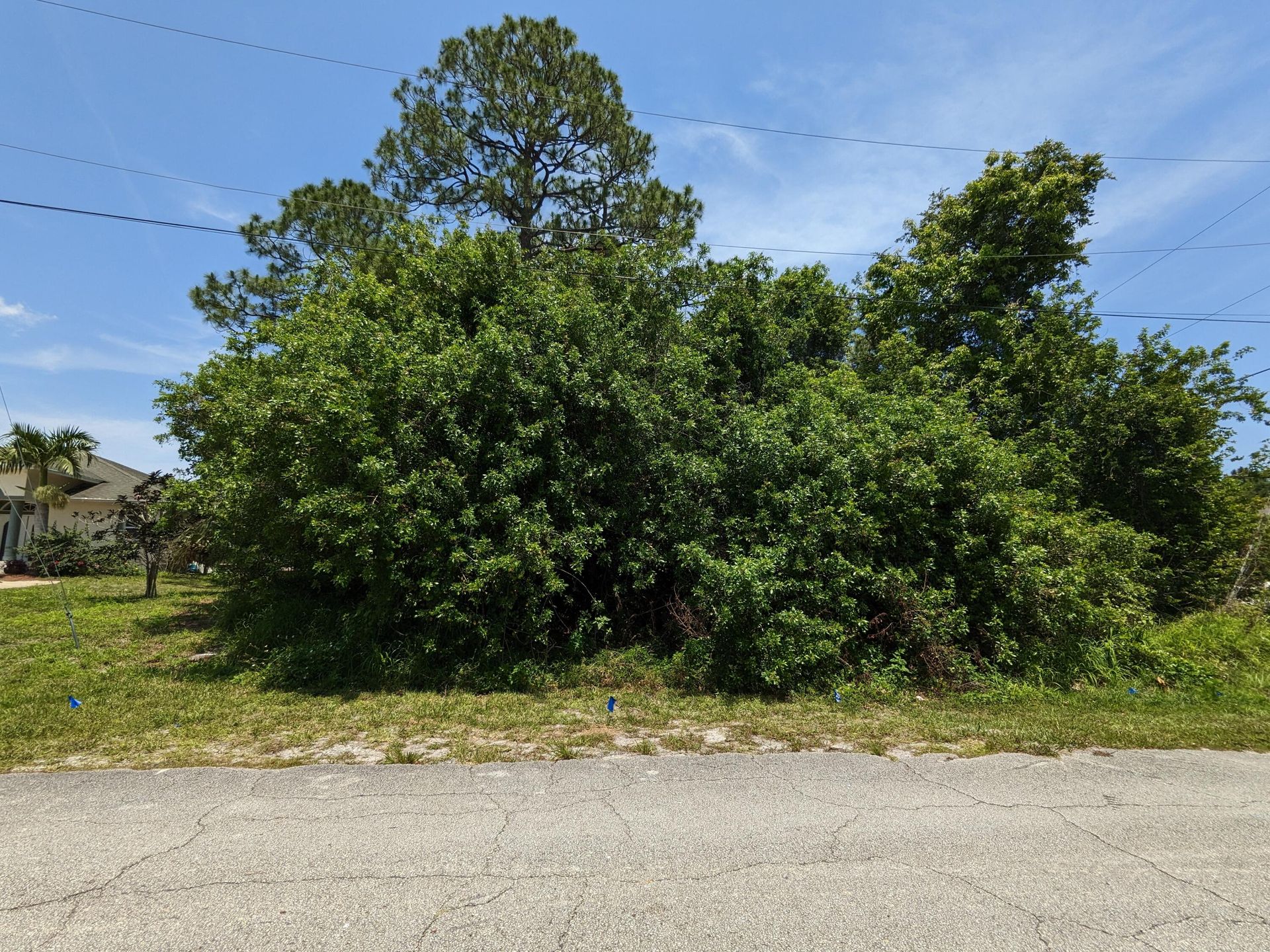 Tierra en Puerto Santa Lucía, Florida 11717837