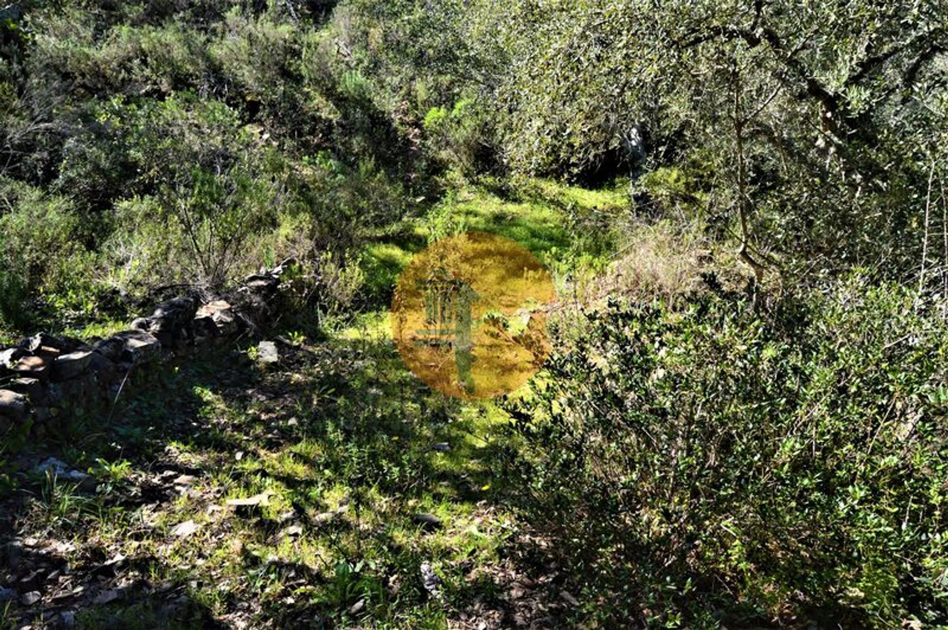 Land in Santa Catarina da Fonte do Bispo, Faro 11719312