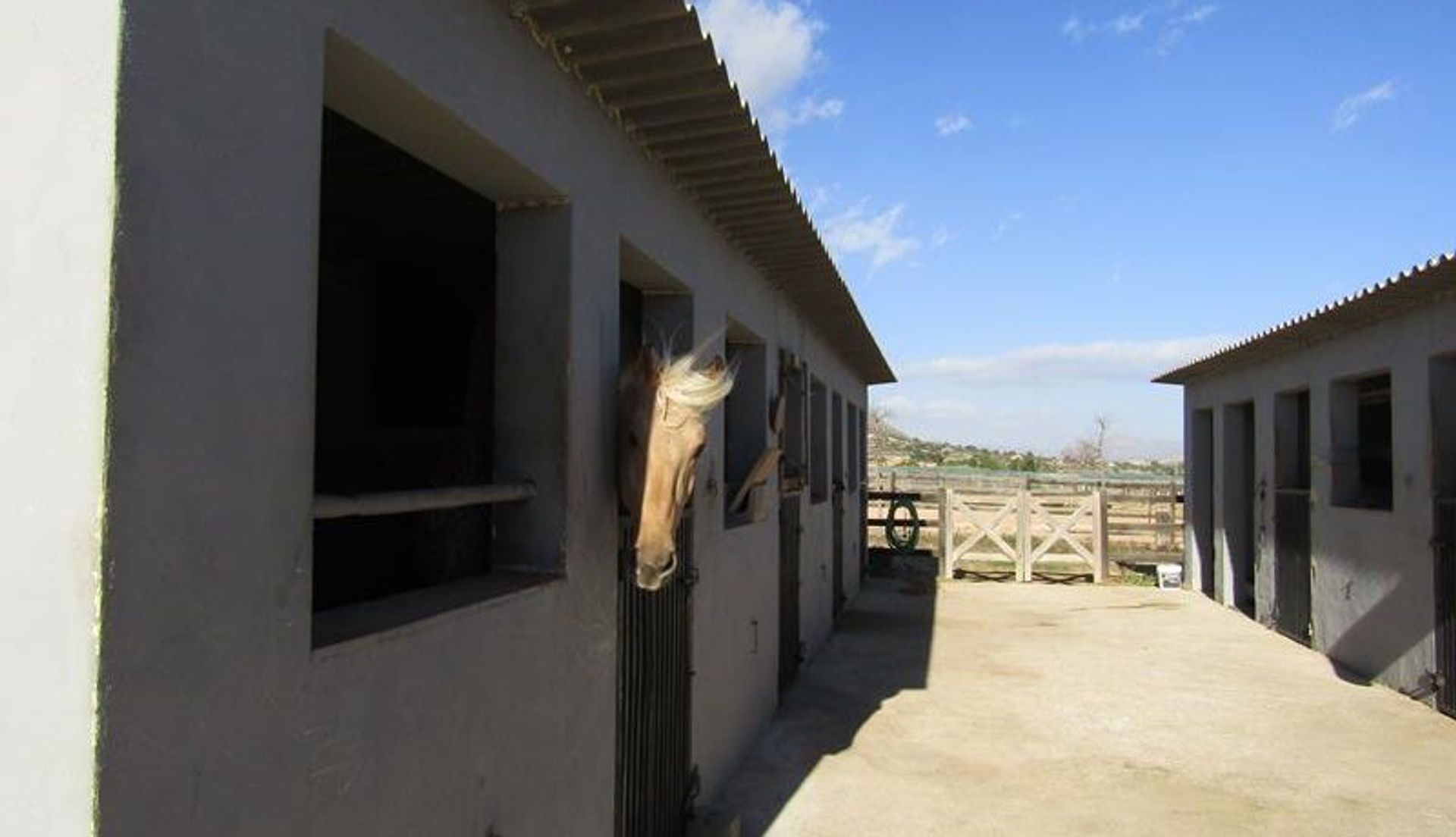 rumah dalam El Fondó de les Neus, Valencian Community 11720794