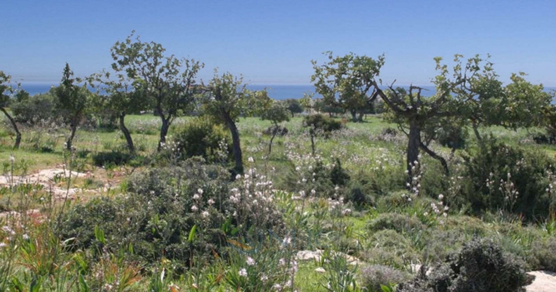 loger dans Pégée, Paphos 11720839