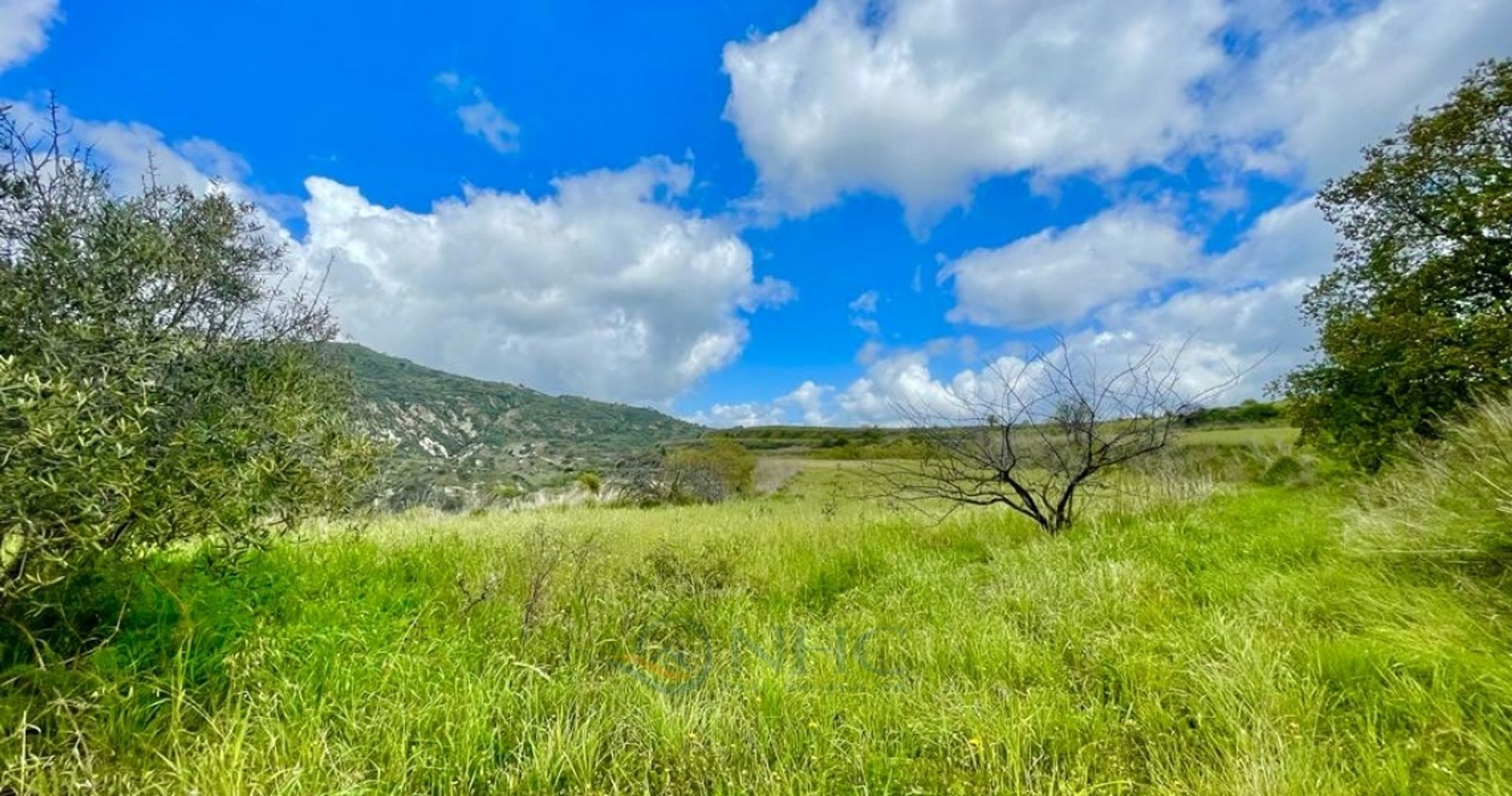 Land i Pegeia, Pafos 11720847