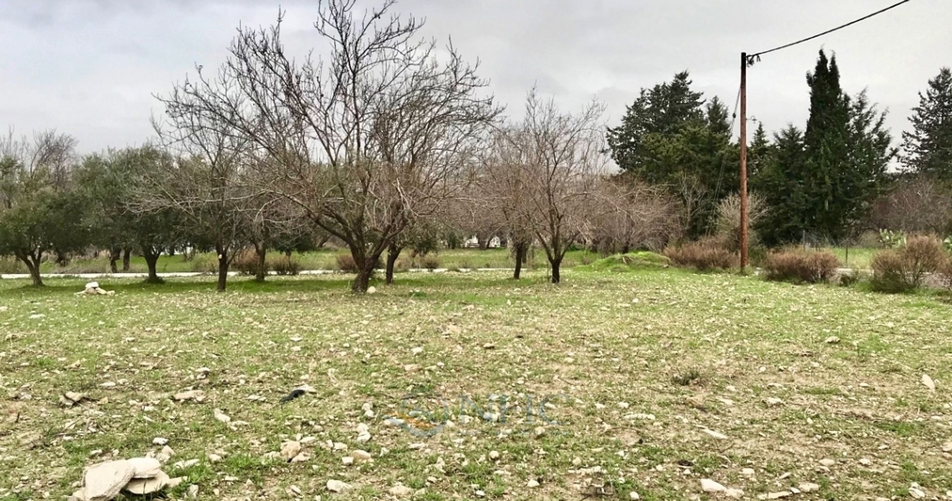 Land in Mesa Chorio, Pafos 11720848