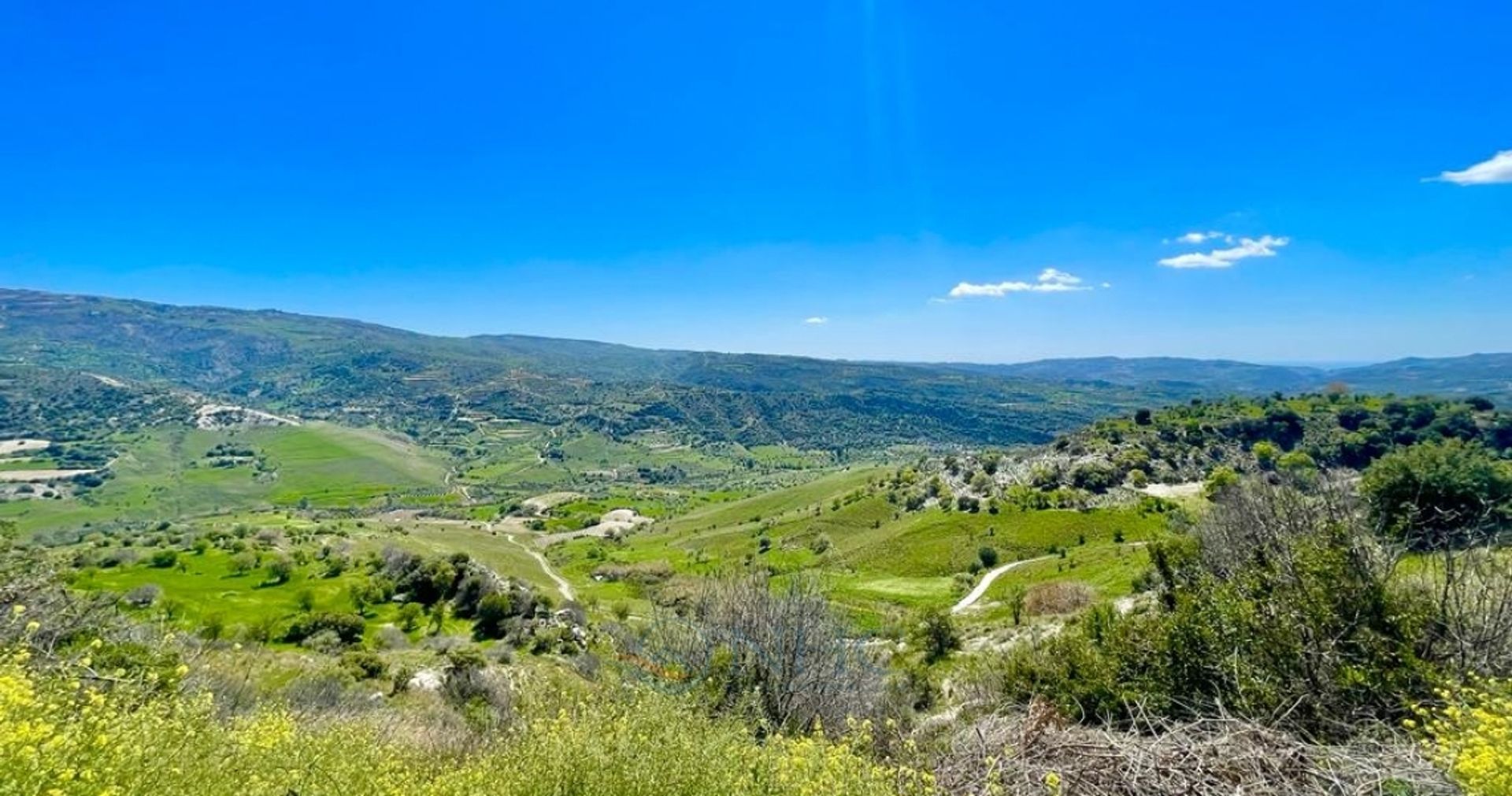 Dom w Agios Dimitrianos, Paphos 11720960