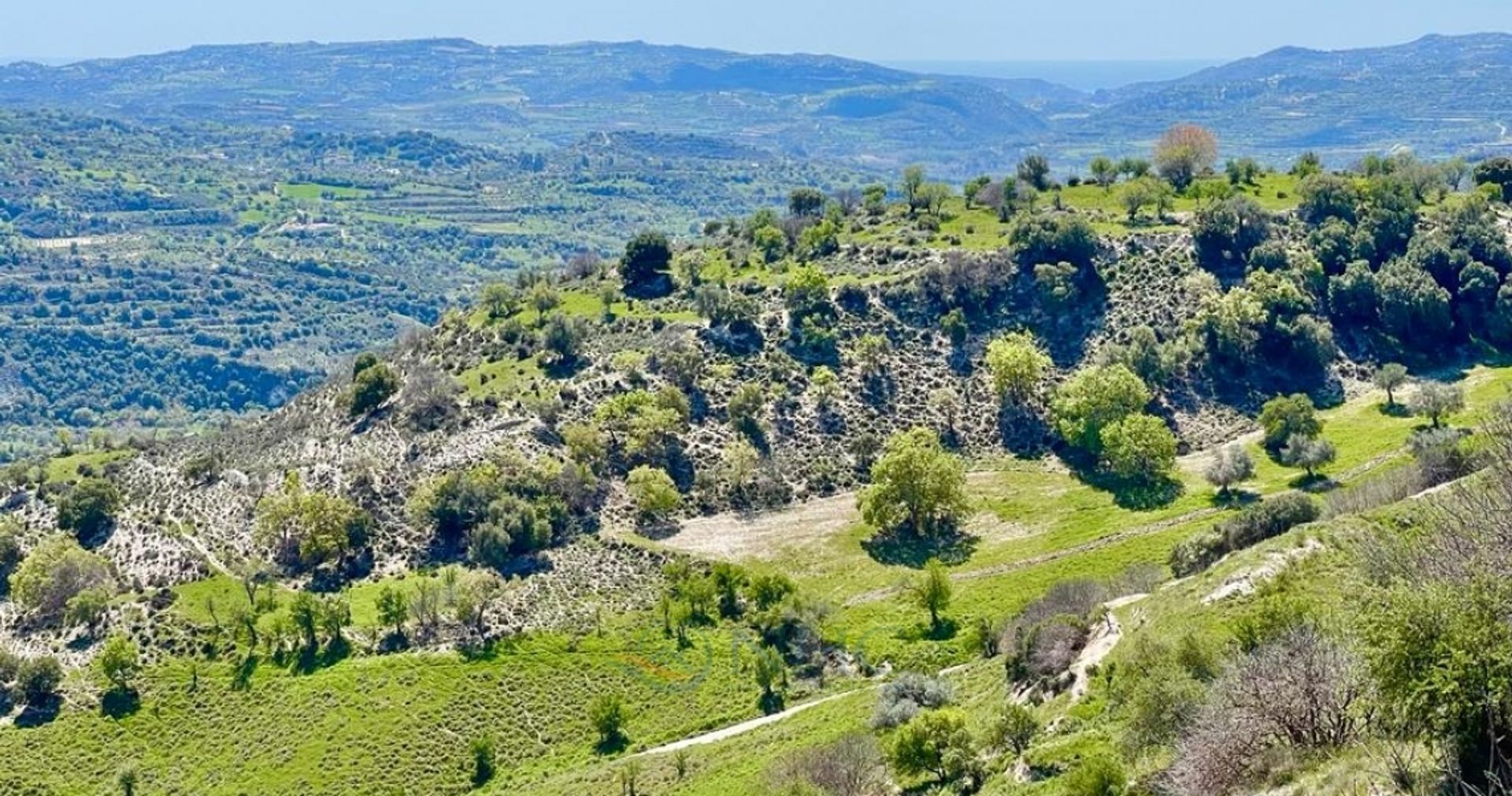 Dom w Agios Dimitrianos, Paphos 11720960