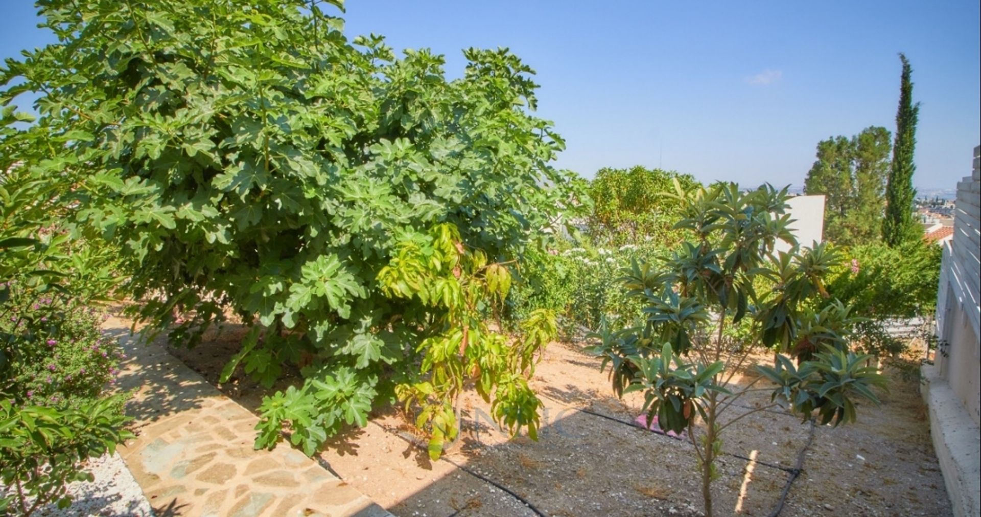 casa en Peyia, Paphos 11721044