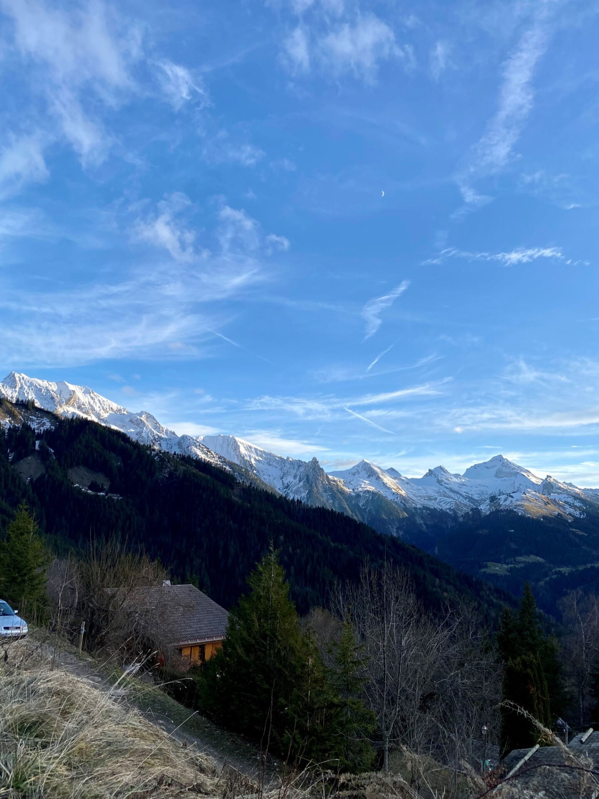 Andet i Manigod, Auvergne-Rhône-Alpes 11721990