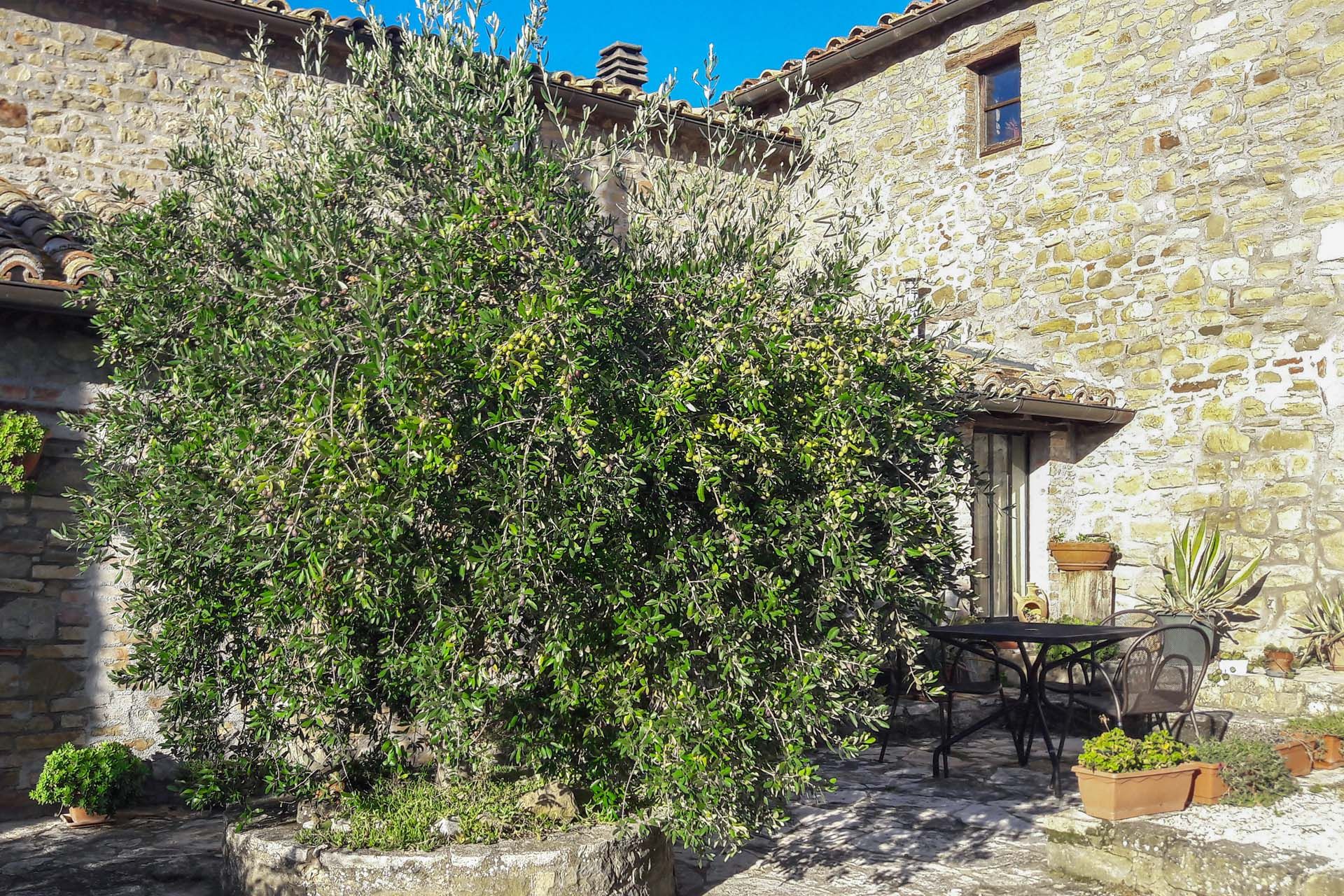 Hus i Poggetto, Umbria 11722181