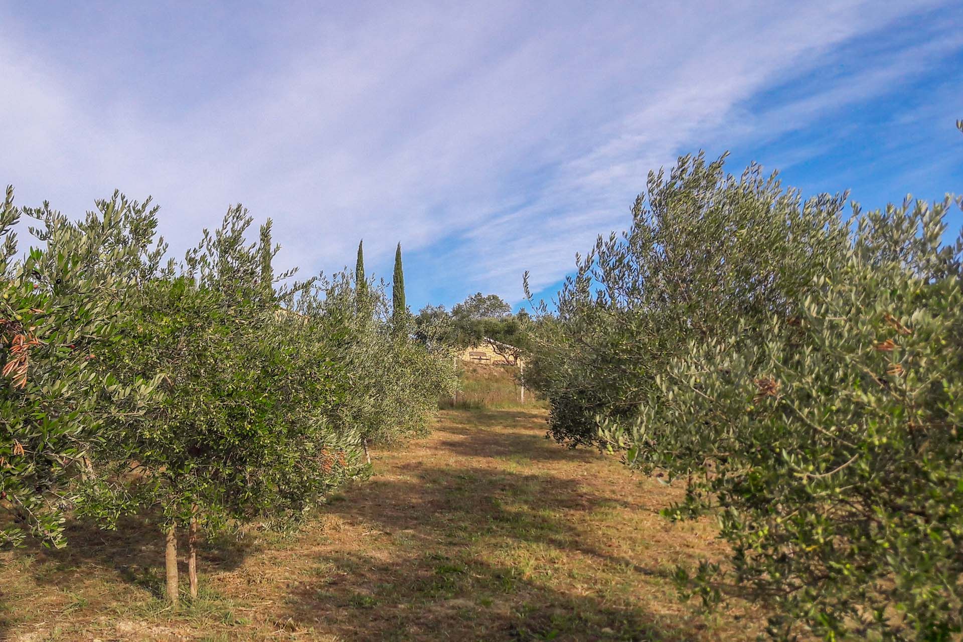 Hus i Poggetto, Umbria 11722181