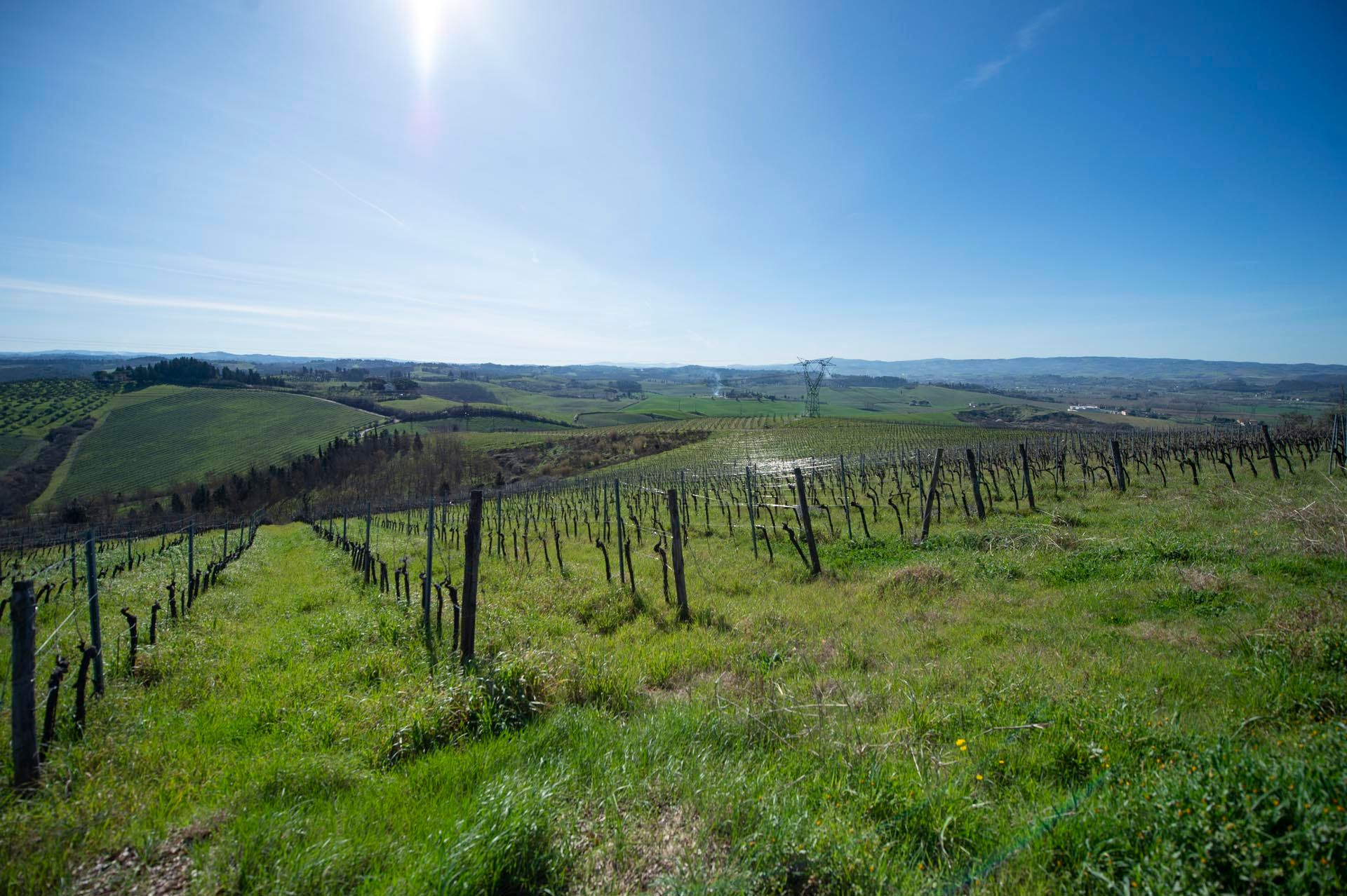 Lain di Florence, Tuscany 11722197