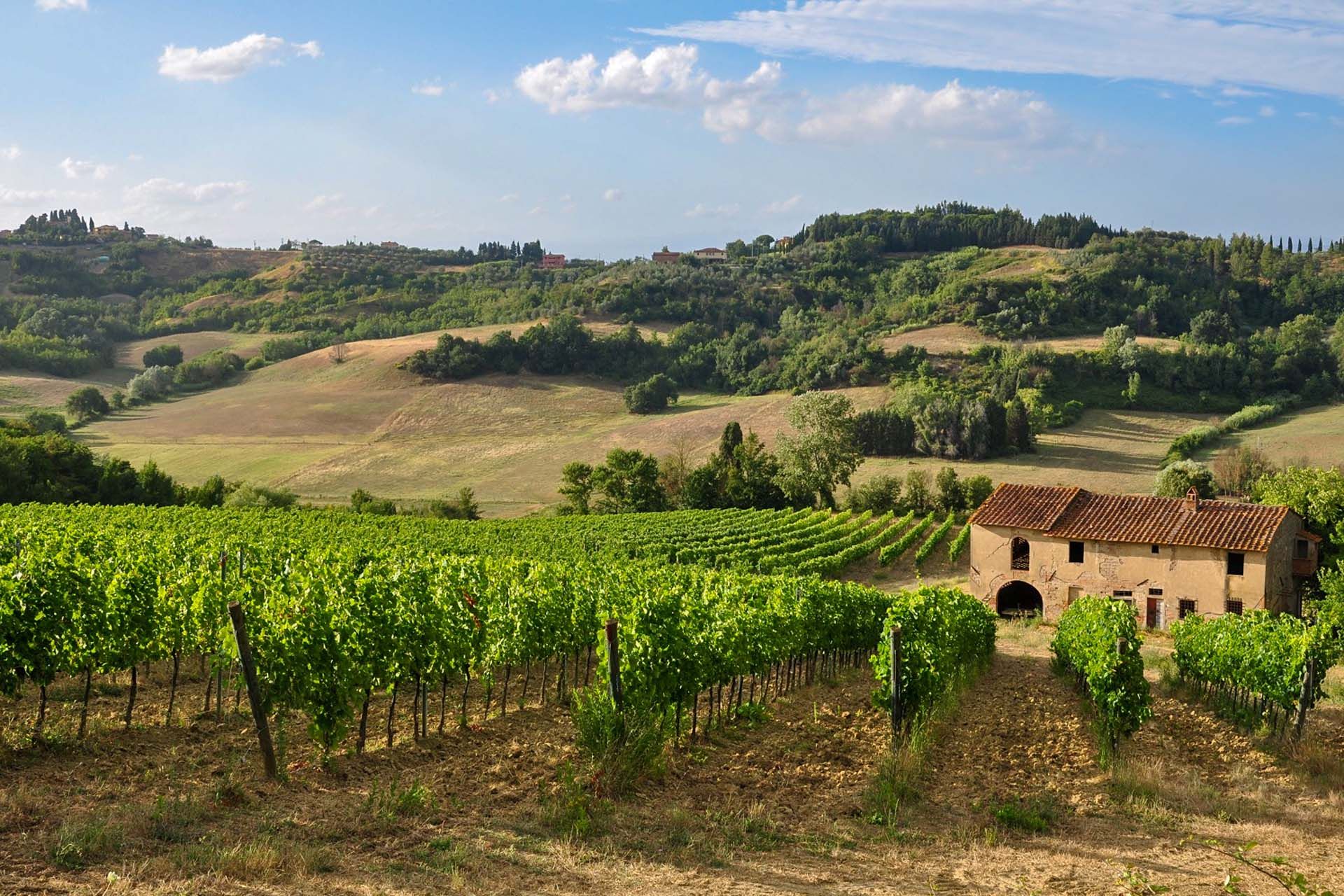 Altro nel San Miniato, Tuscany 11722199