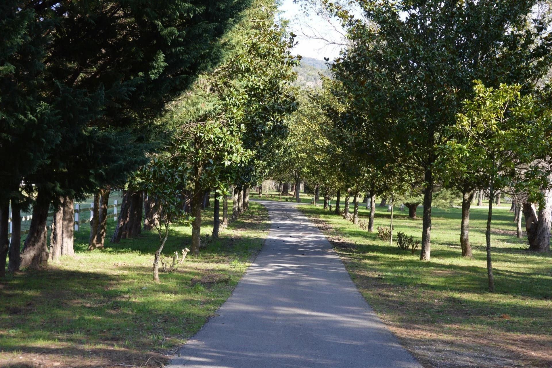 Talo sisään Cogolin, Provence-Alpes-Côte d'Azur 11722236