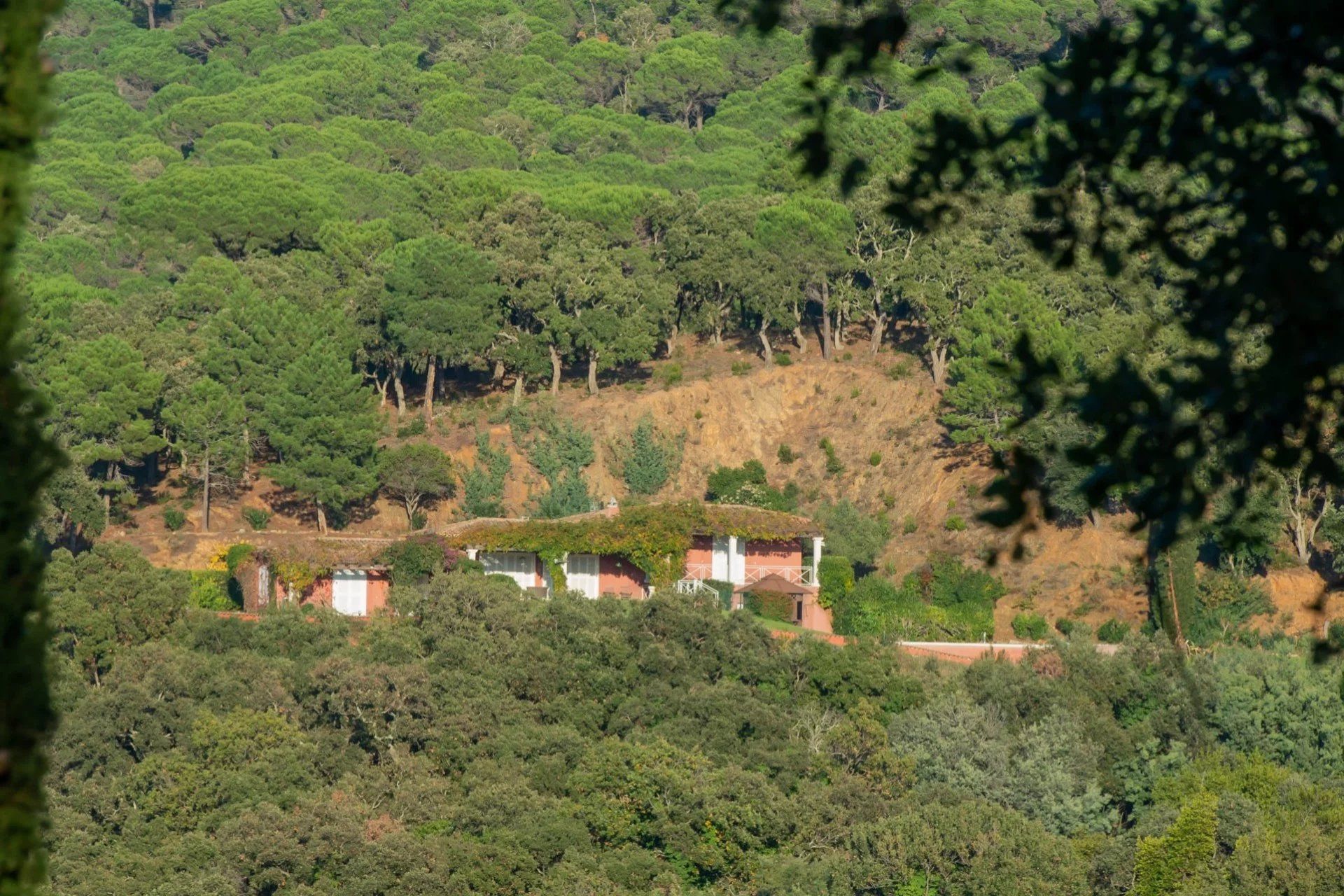 Talo sisään La Croix-Valmer, Provence-Alpes-Côte d'Azur 11722239