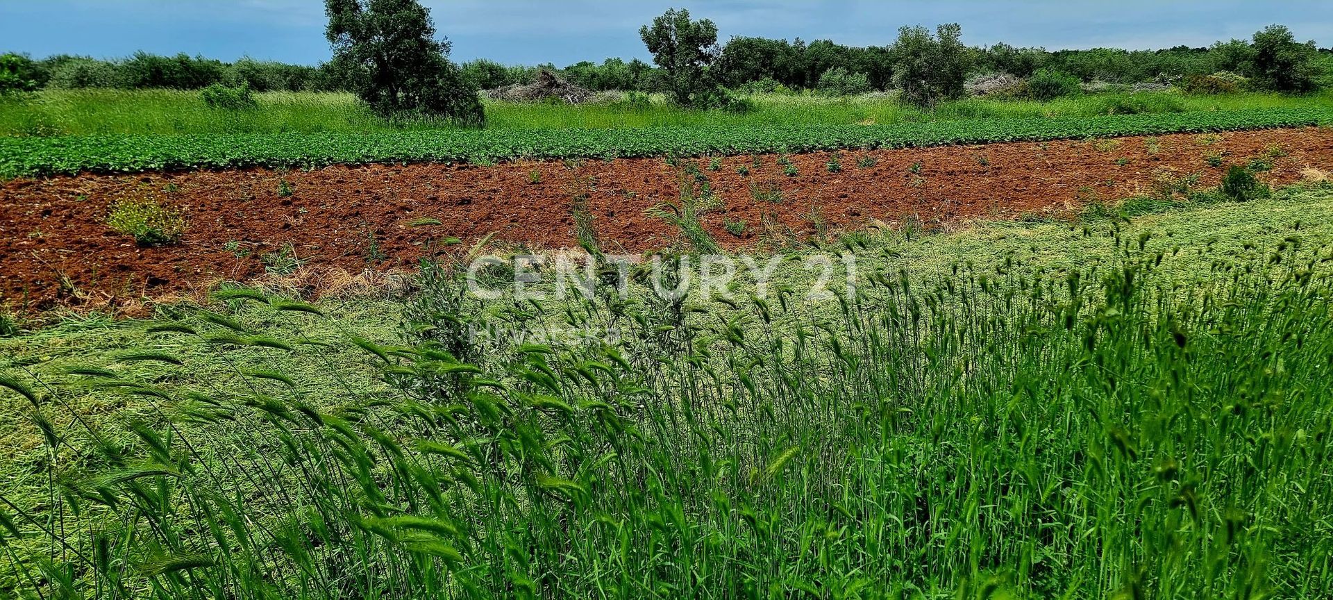 Land in Biograd na Moru, Zadar County 11722710